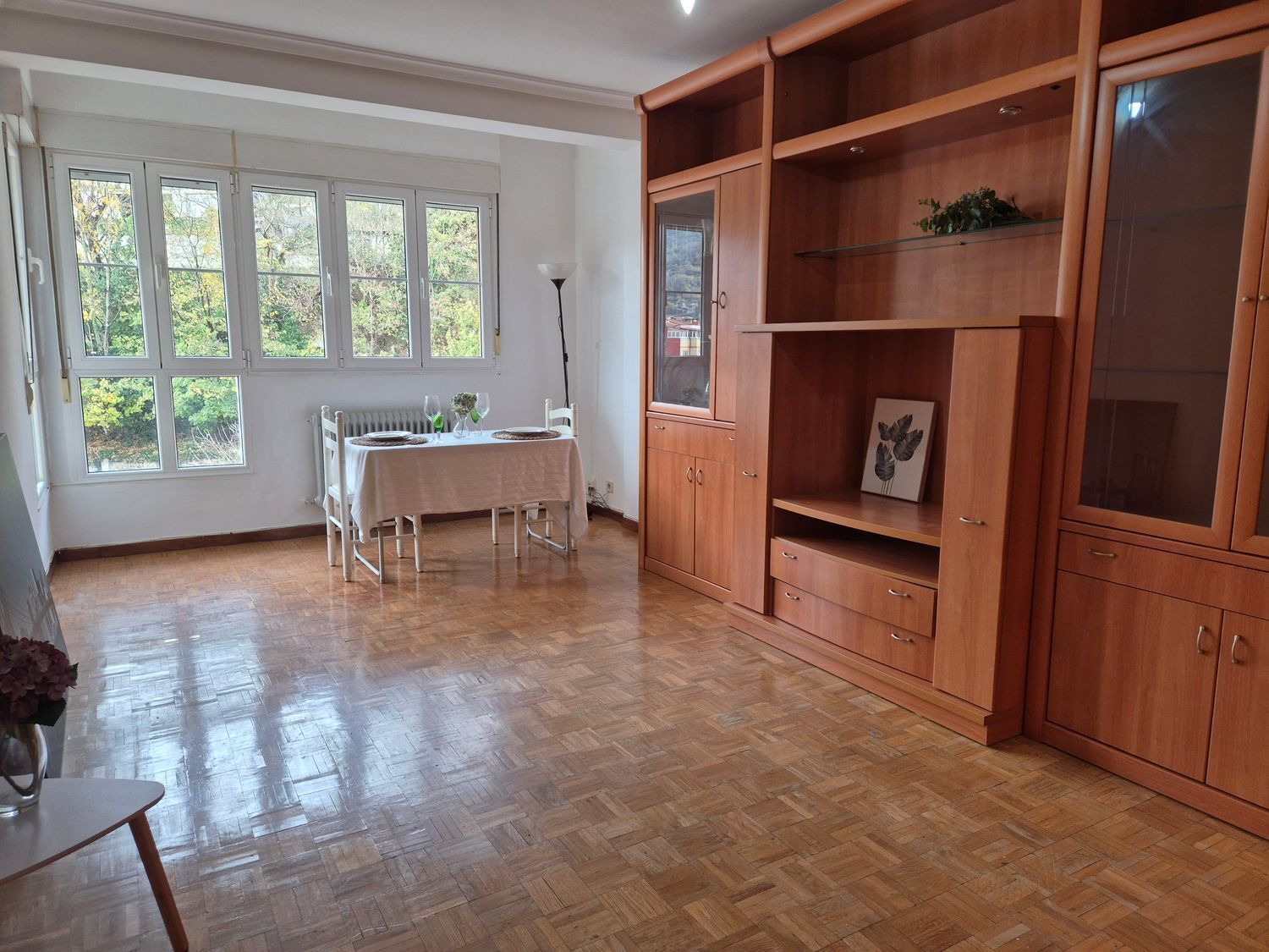 Pisos-Venta-Mieres-1976076-Foto-2