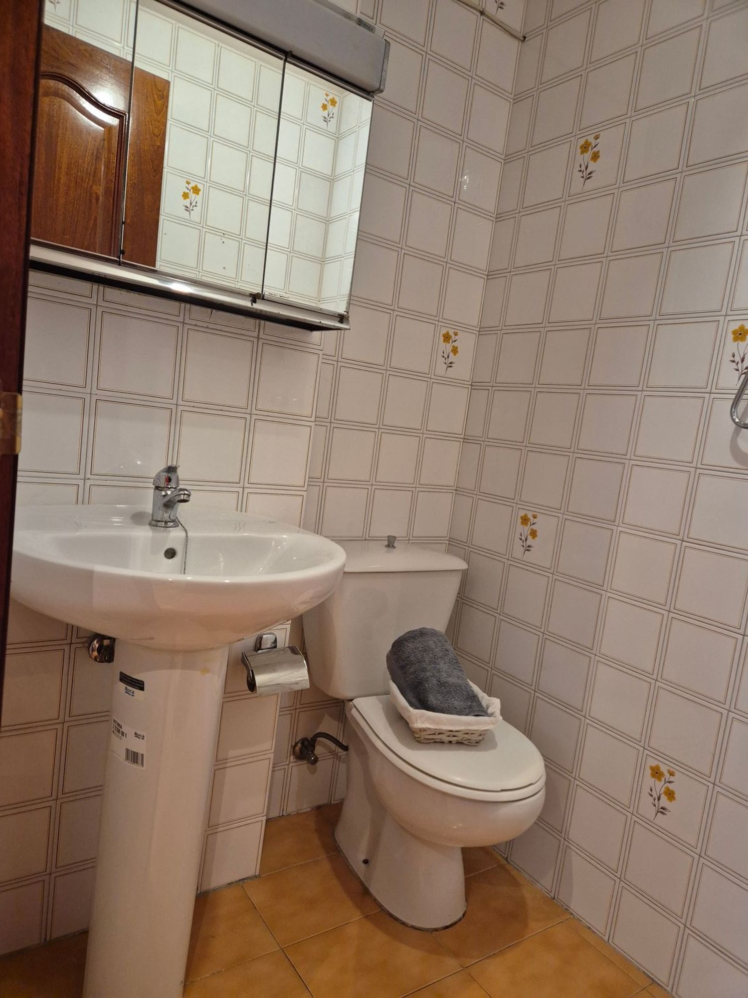 Pisos-Venta-Mieres-1976076-Foto-28