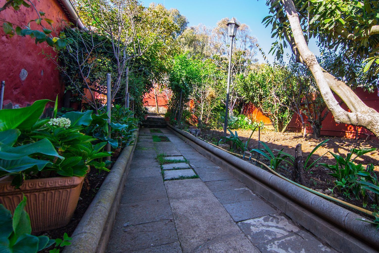 Casas o chalets-Venta-Santa BrÃ­gida-1976082-Foto-12