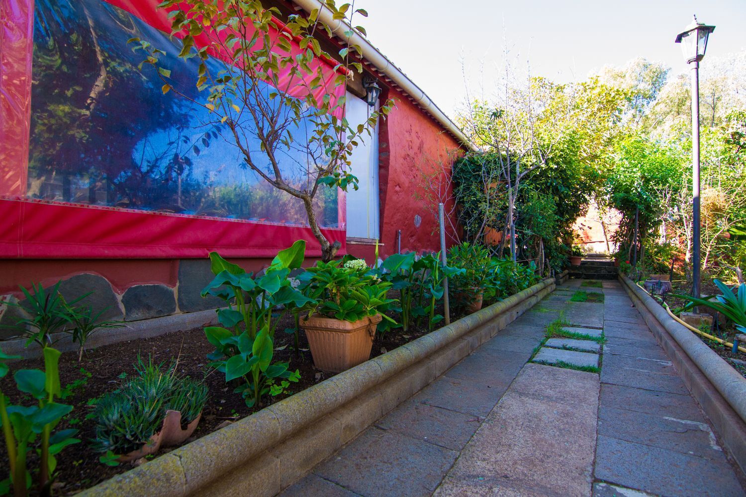 Casas o chalets-Venta-Santa BrÃ­gida-1976082-Foto-13