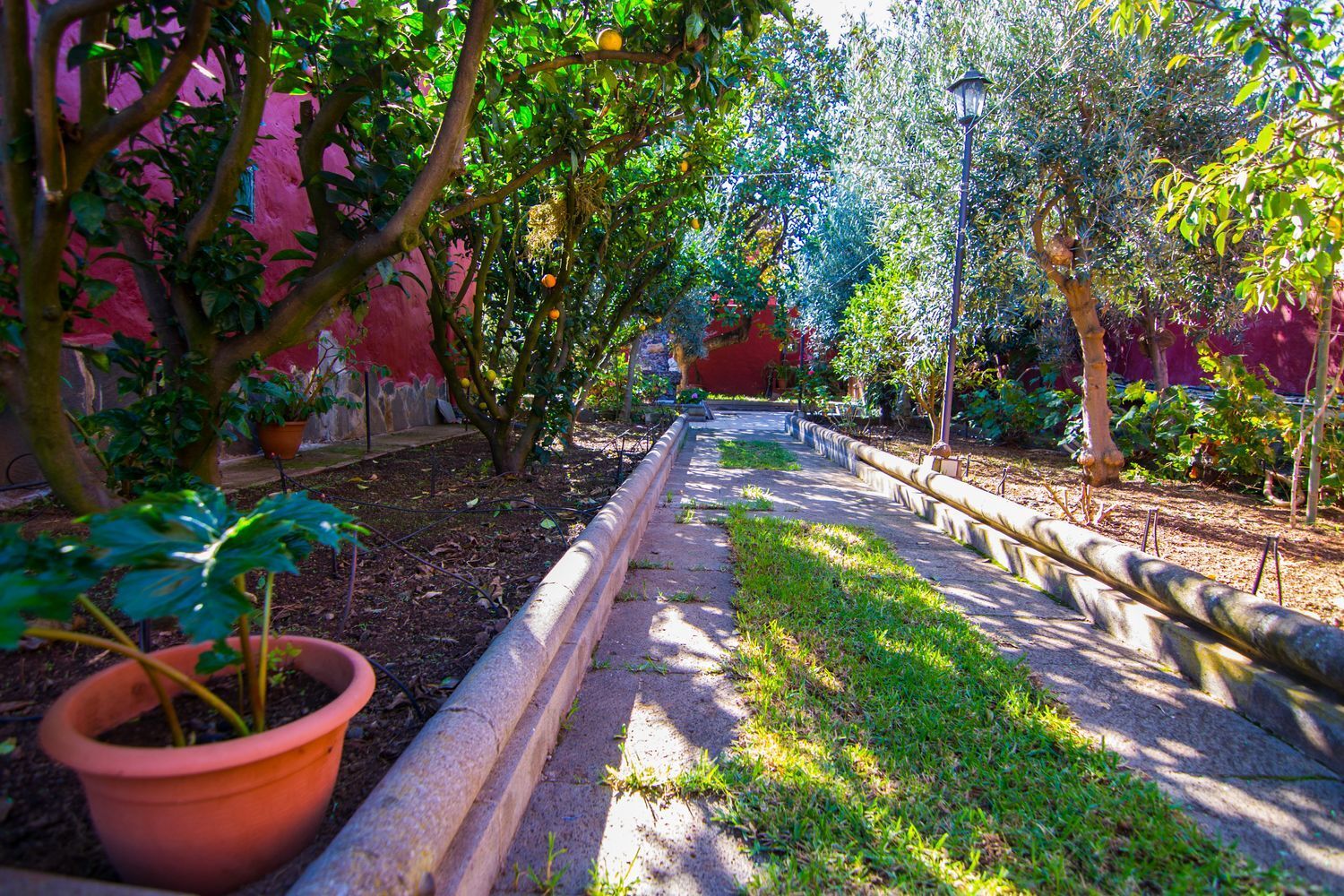 Casas o chalets-Venta-Santa BrÃ­gida-1976082-Foto-14