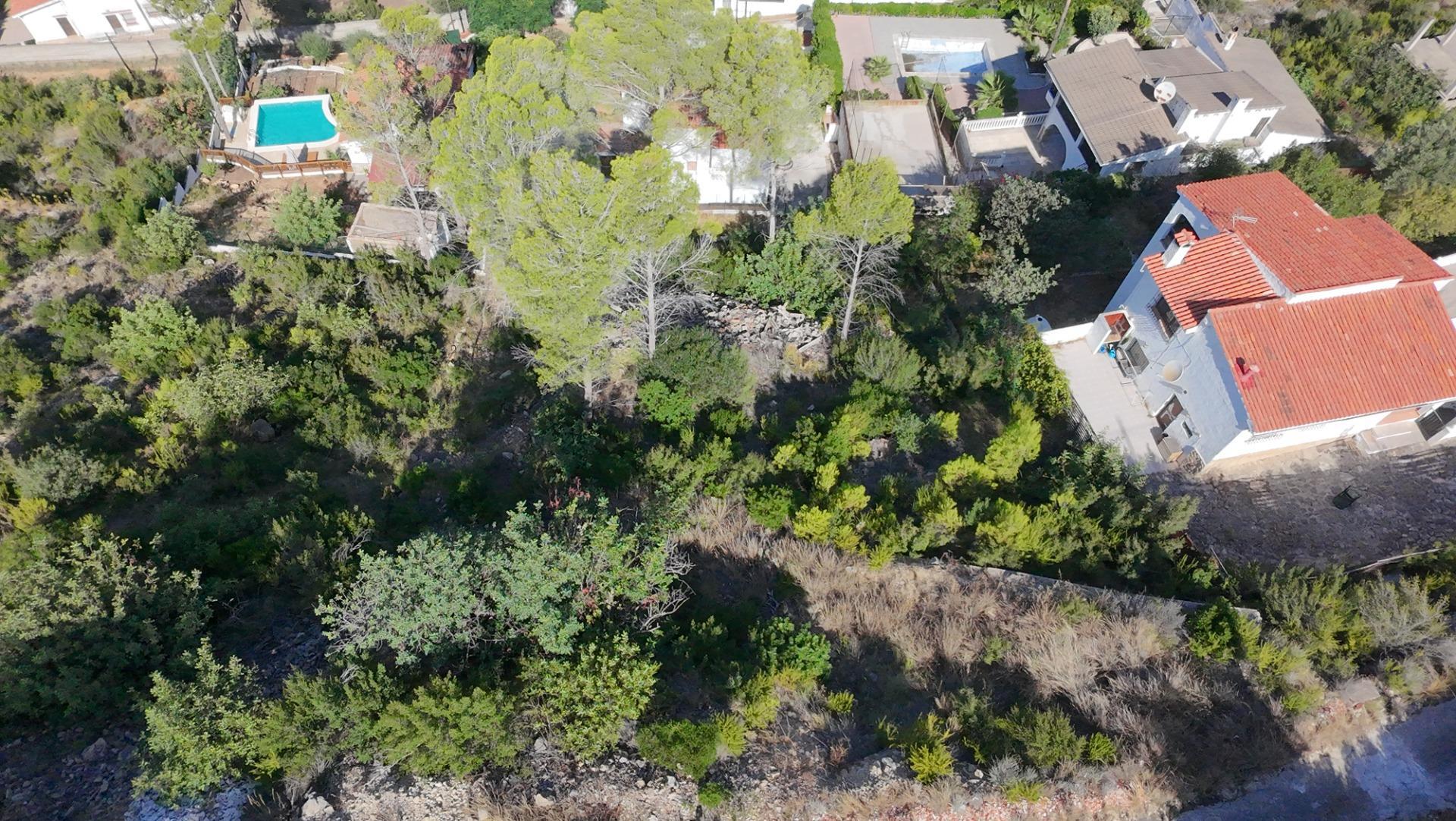 Fincas y solares-Venta-Gandia-1845987-Foto-8