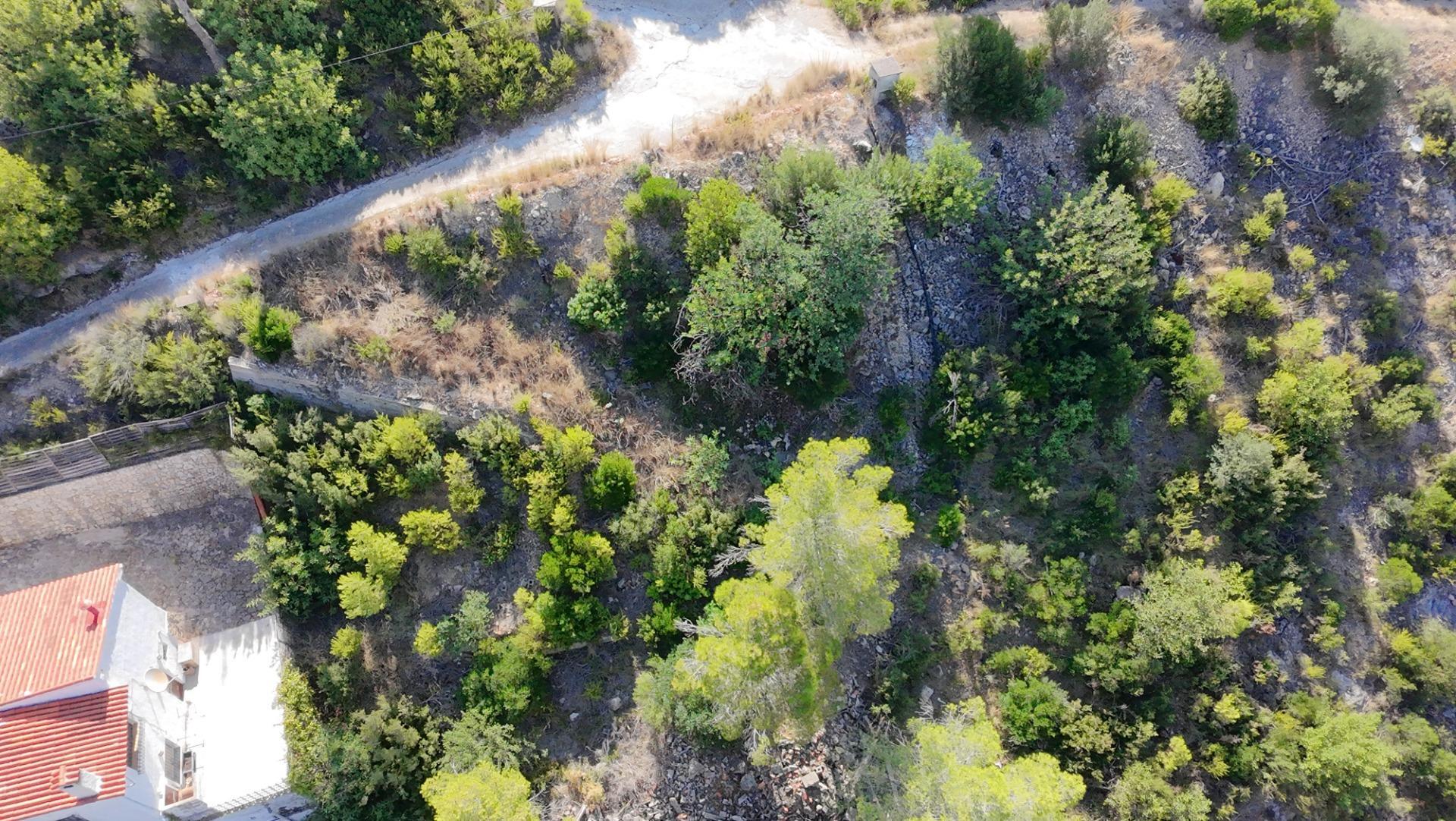 Fincas y solares-Venta-Gandia-1845987-Foto-9