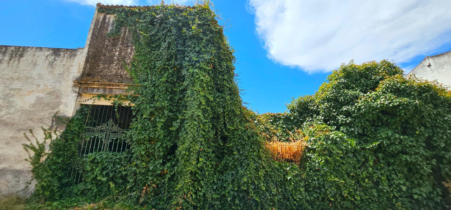 Casas o chalets-Venta-La Algaba-1975514-Foto-9