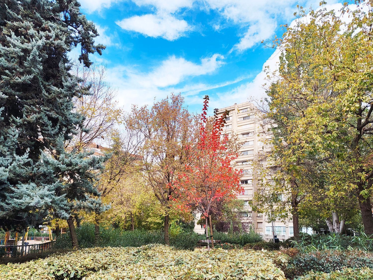 Pisos-Venta-Madrid-1976133-Foto-25