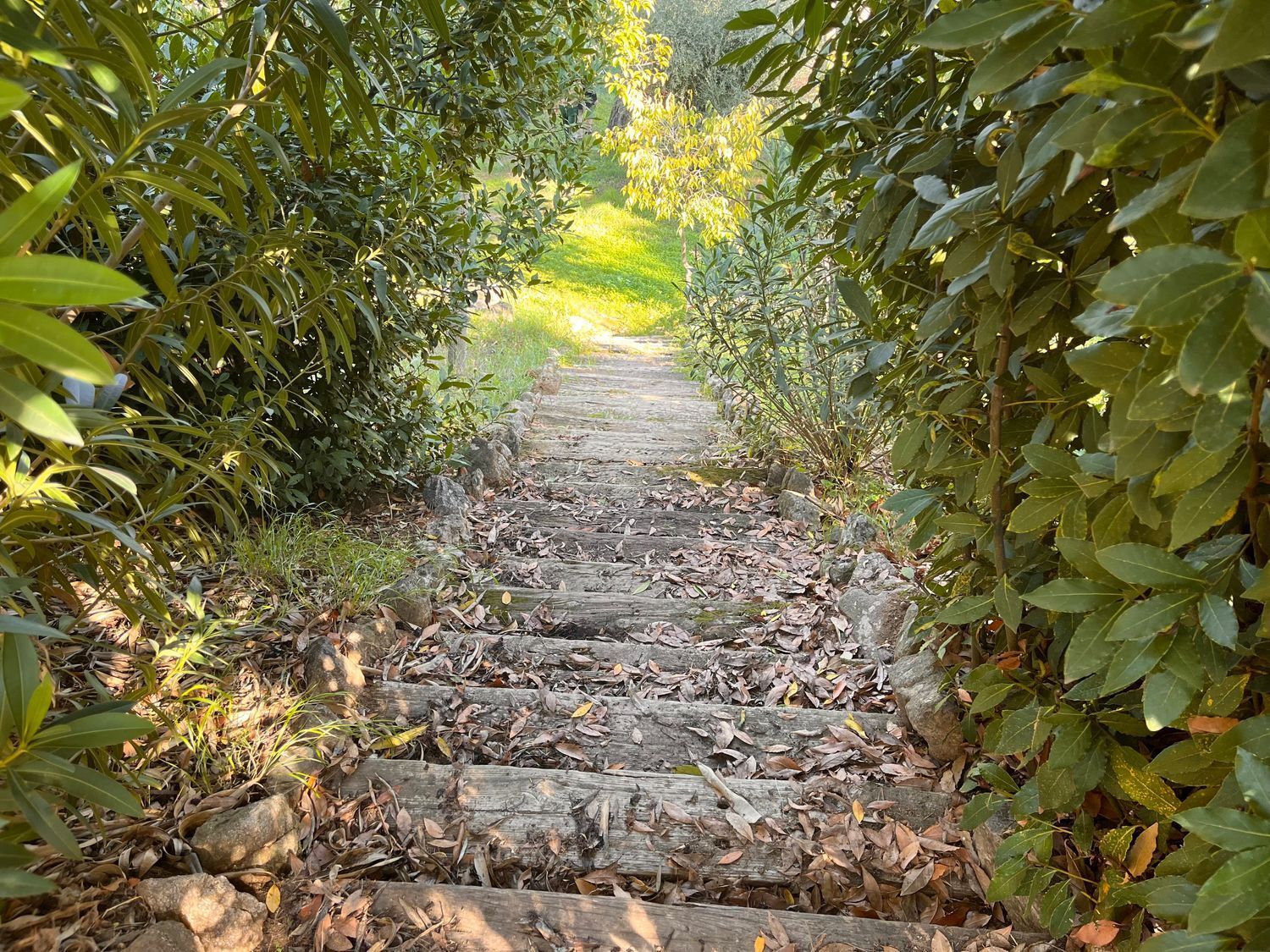 Casas o chalets-Venta-Toledo-1423731-Foto-36