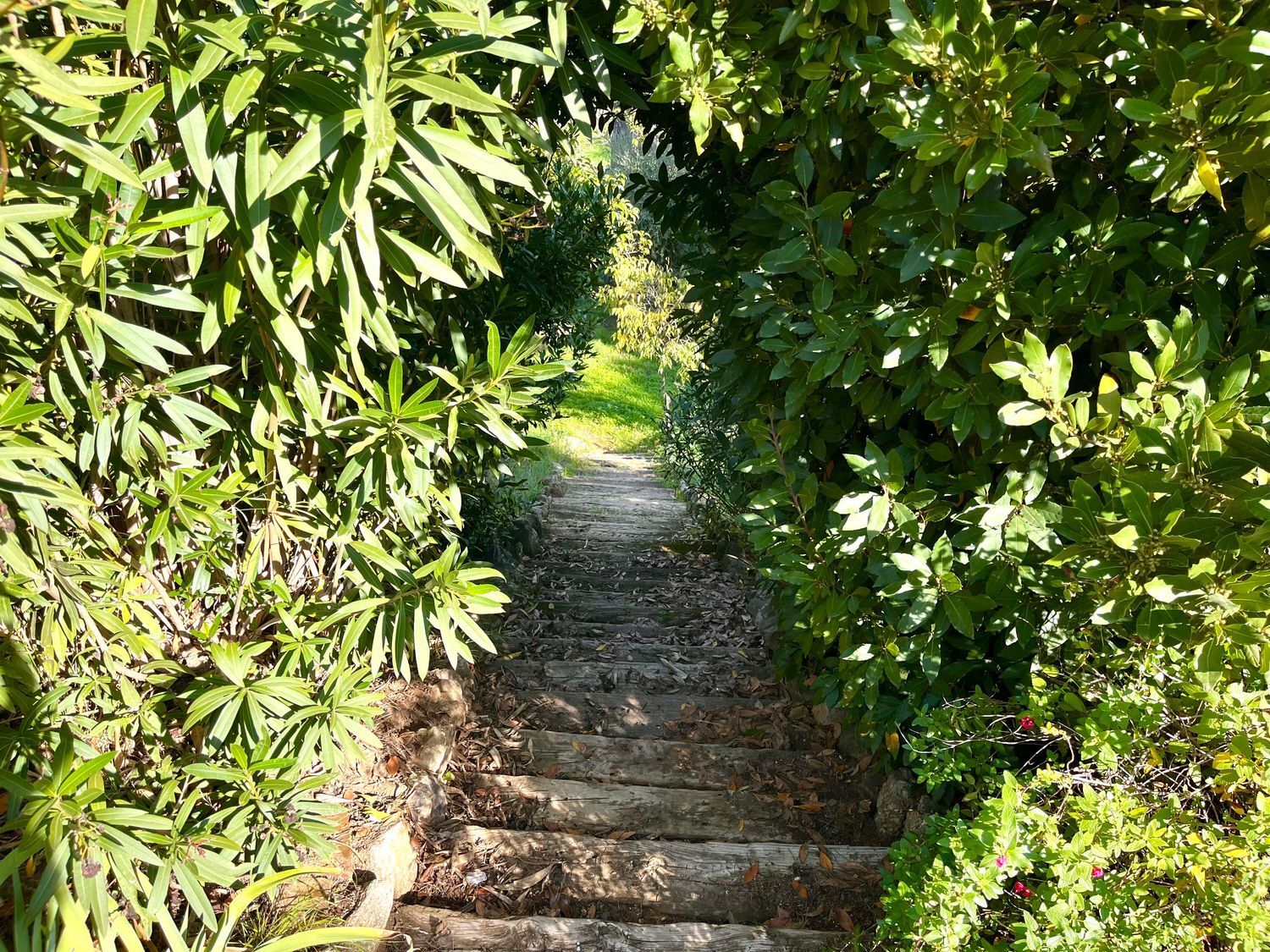 Casas o chalets-Venta-Toledo-1423731-Foto-68