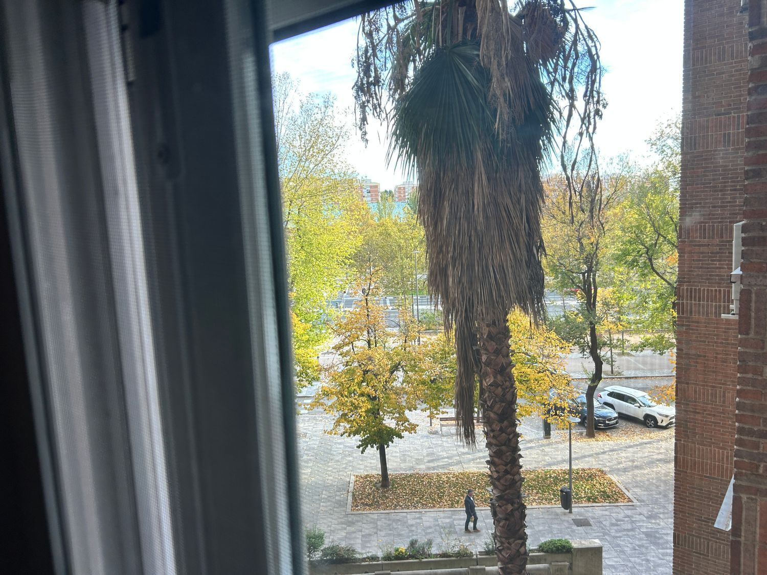 Pisos-Venta-Madrid-1976127-Foto-13