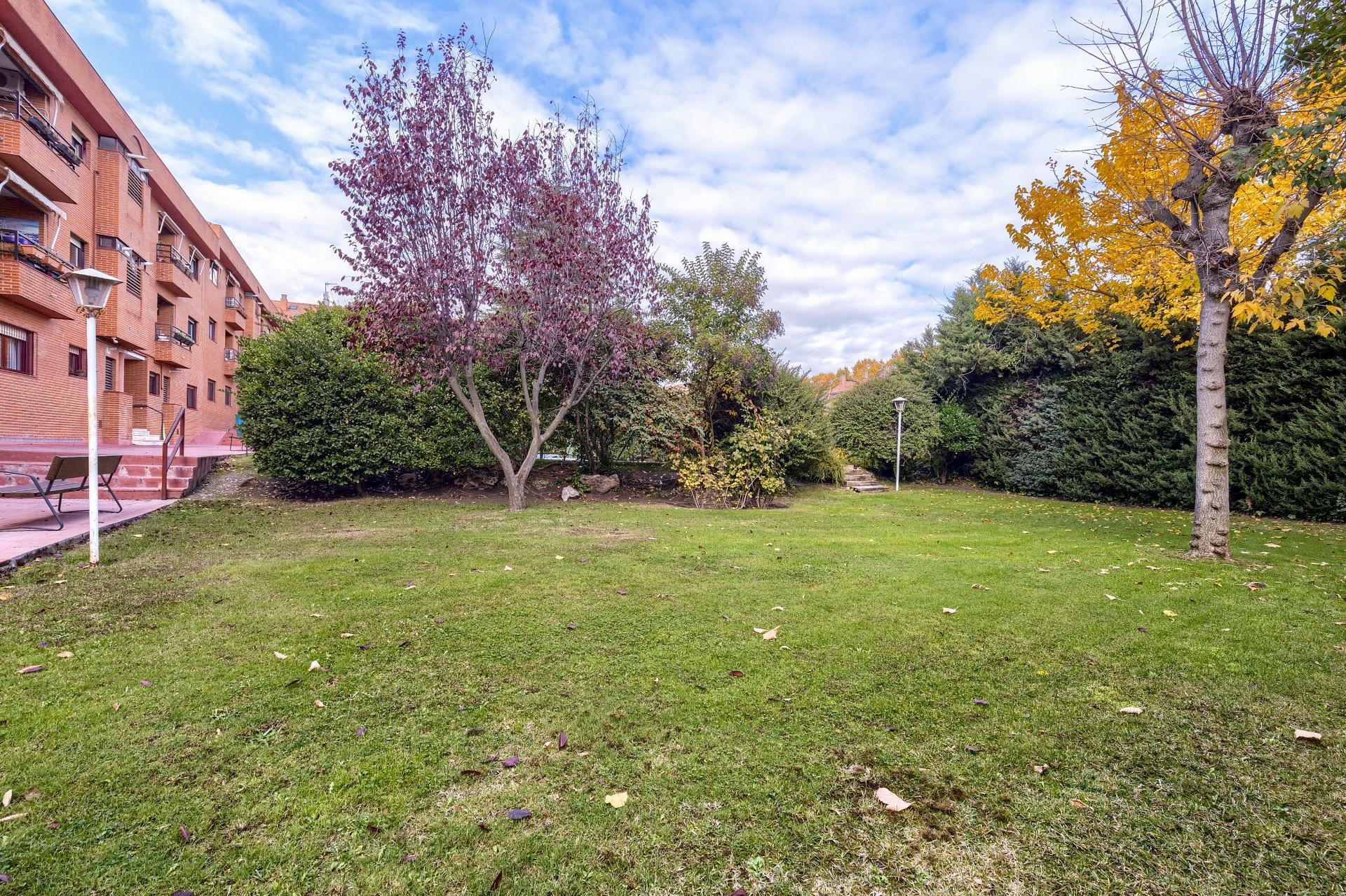 Pisos-Venta-Madrid-1976160-Foto-27