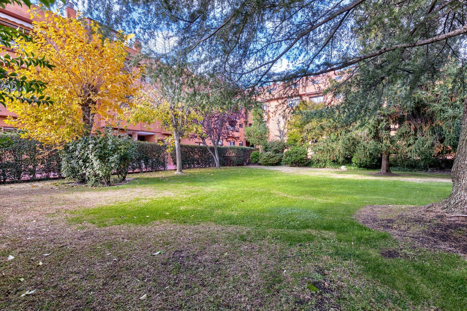 Pisos-Venta-Madrid-1976160-Foto-28