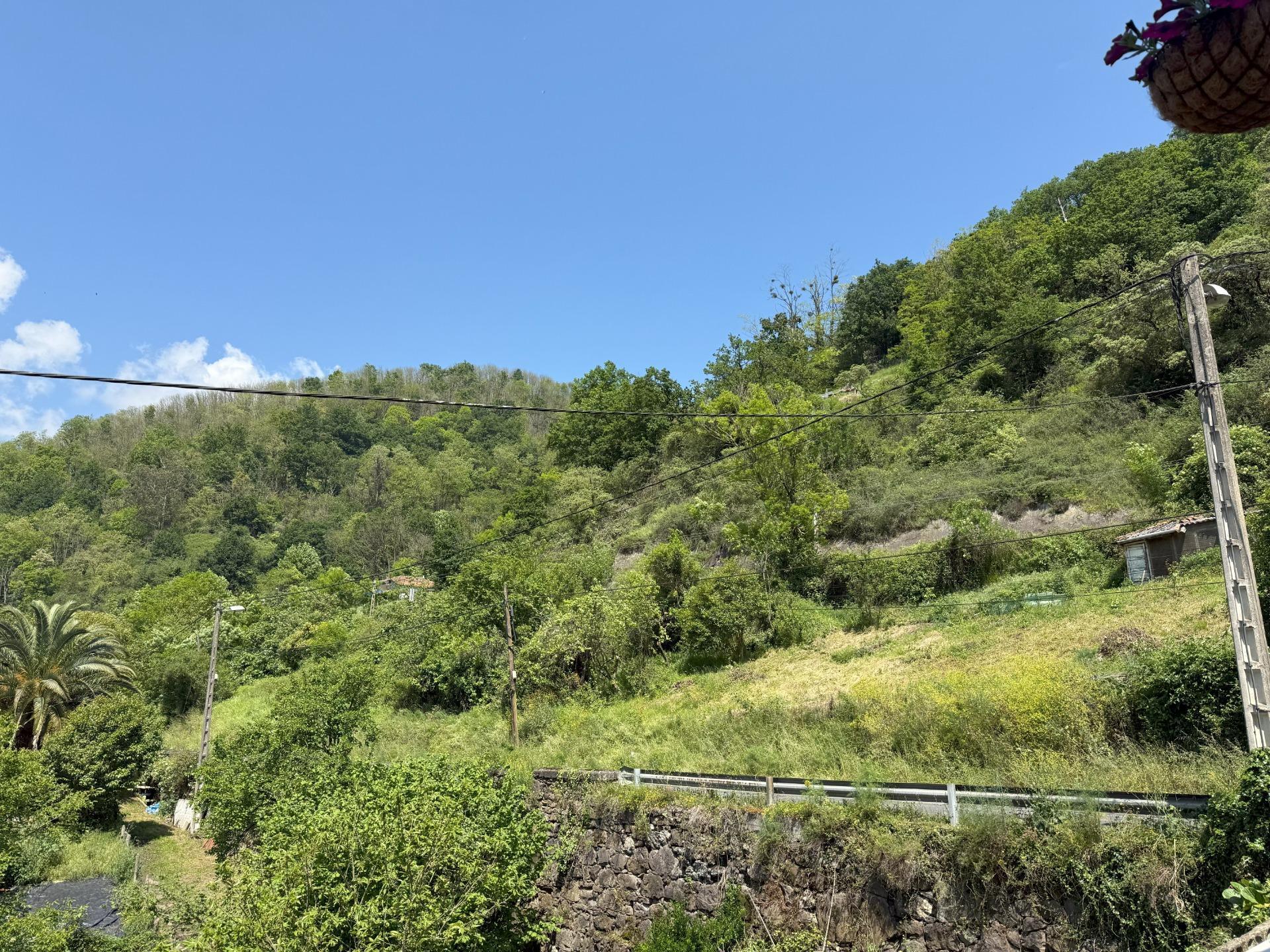 Casas o chalets-Venta-Villena-1730982-Foto-9