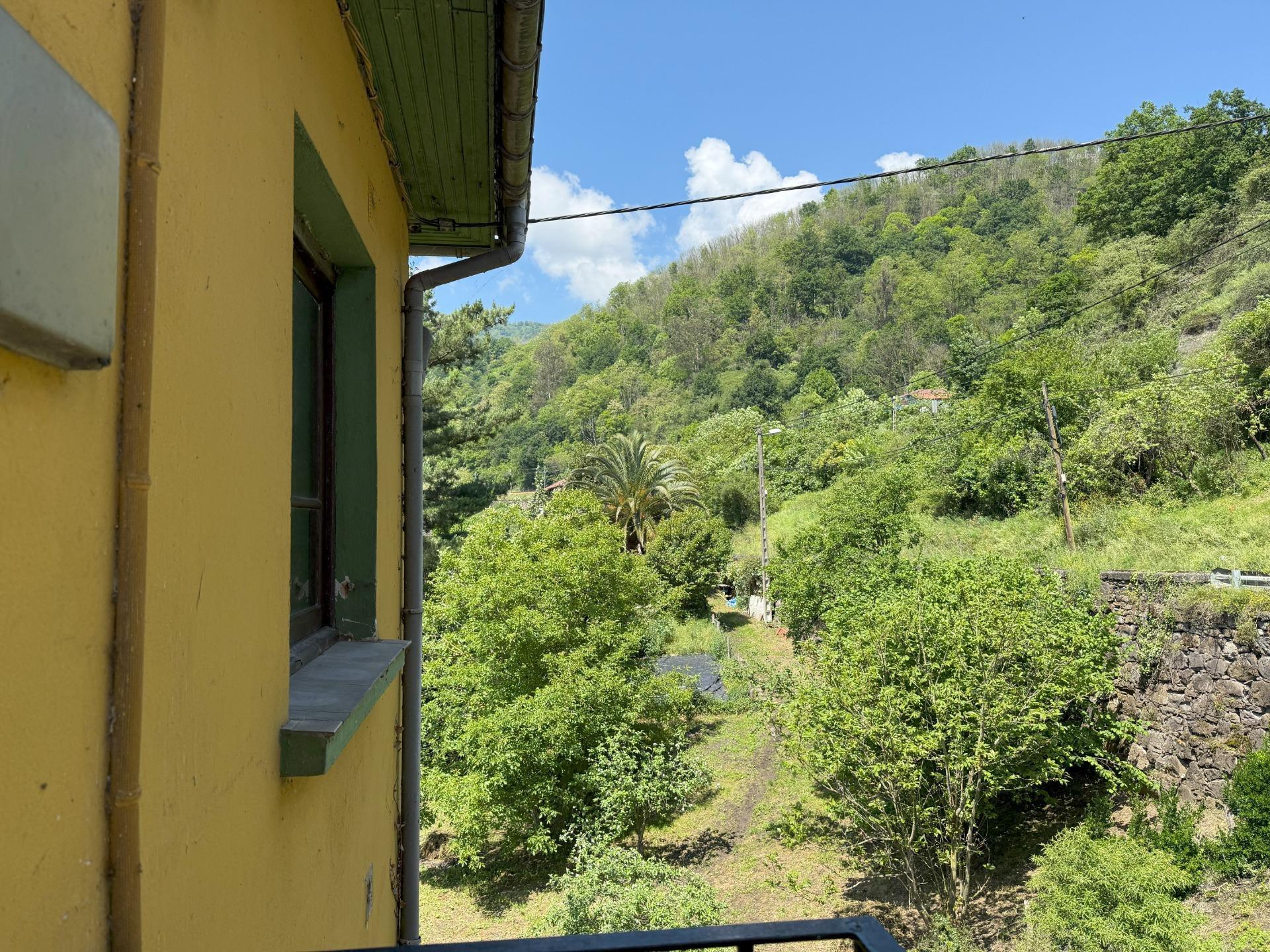 Casas o chalets-Venta-Villena-1730982-Foto-26