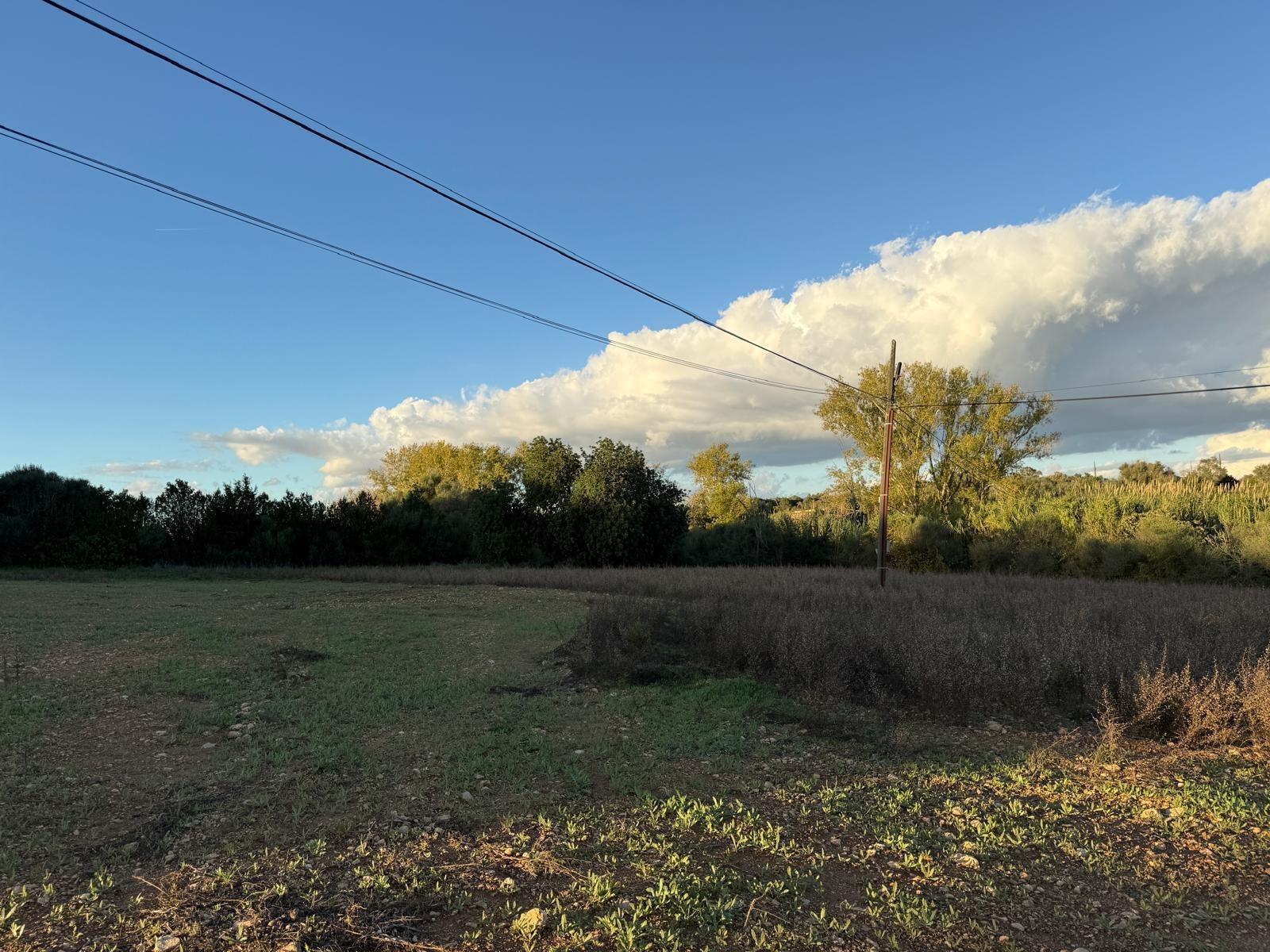 ?? Oportunidad Única: Espectacular Finca Rústica con Proyecto en Manacor