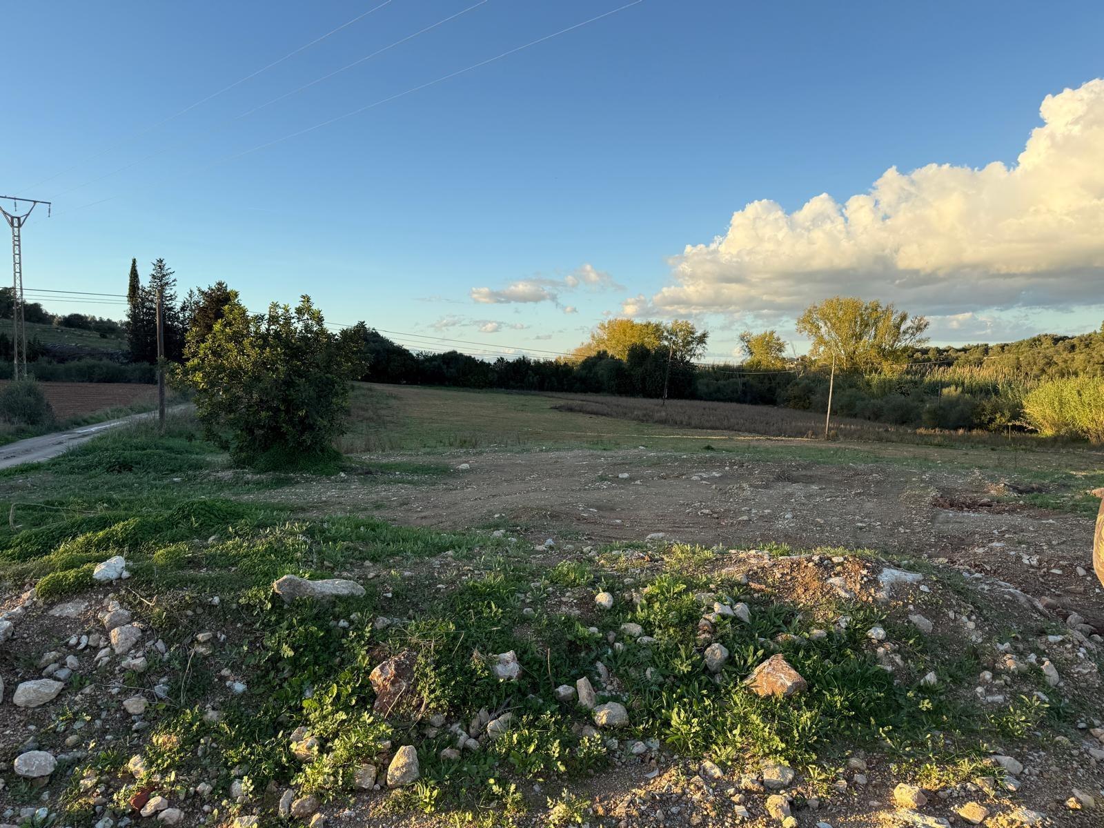 ?? Oportunidad Única: Espectacular Finca Rústica con Proyecto en Manacor