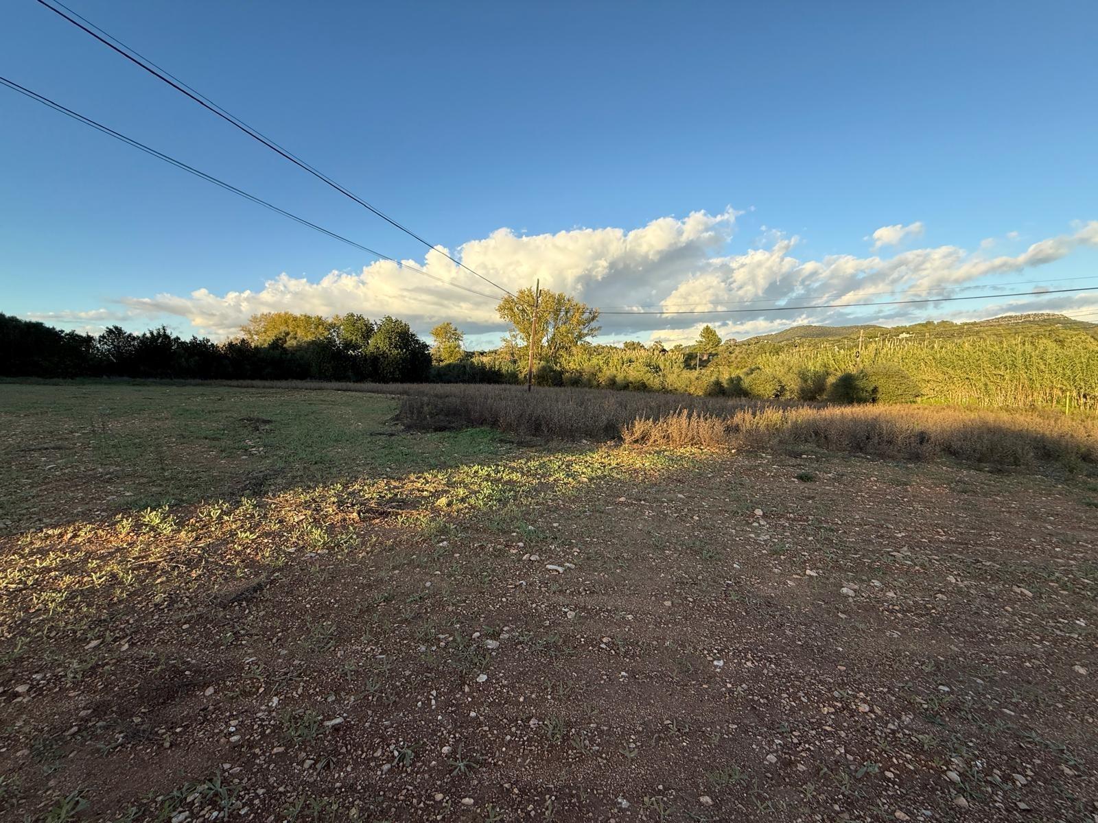 ?? Oportunidad Única: Espectacular Finca Rústica con Proyecto en Manacor