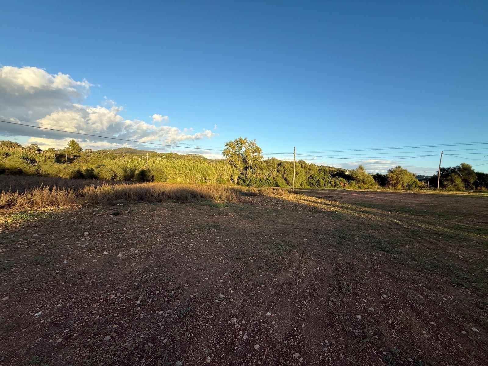 ?? Oportunidad Única: Espectacular Finca Rústica con Proyecto en Manacor