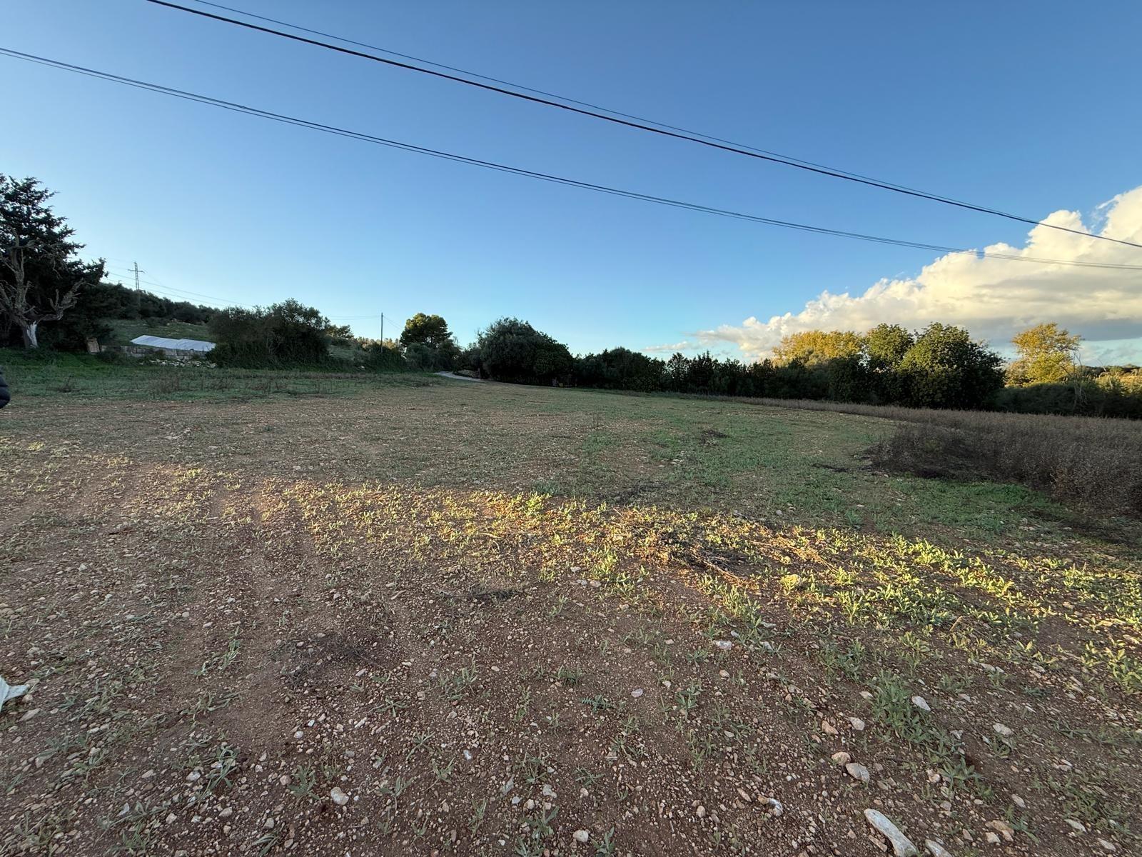 ?? Oportunidad Única: Espectacular Finca Rústica con Proyecto en Manacor