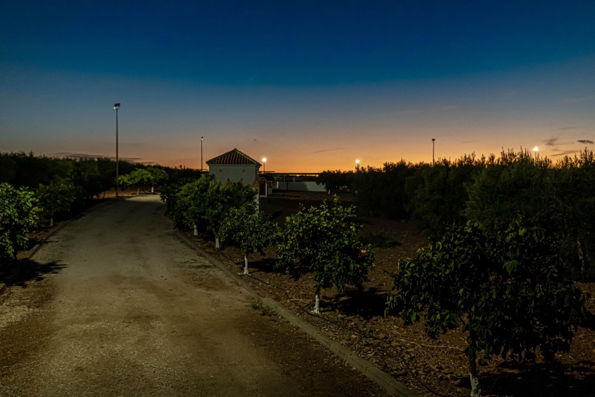 Pisos-Venta-Carmona-1976163-Foto-6