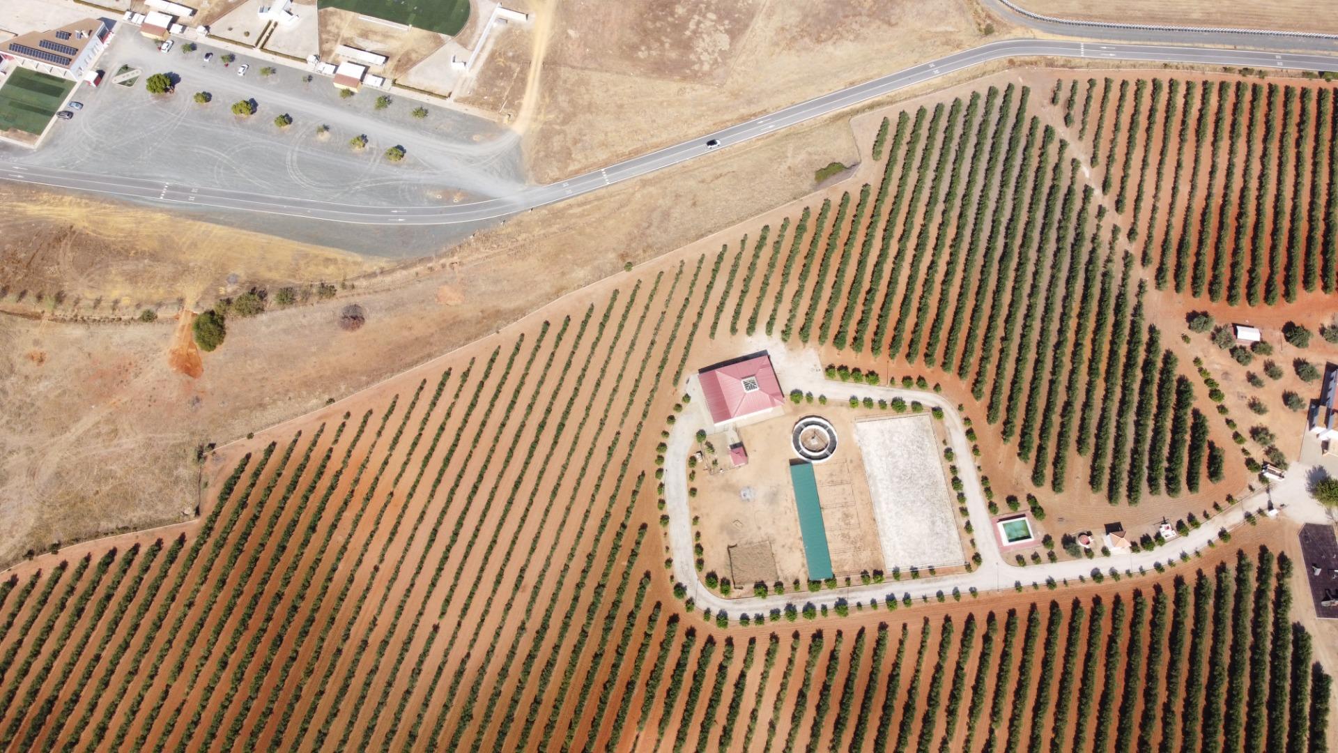 Pisos-Venta-Carmona-1976163-Foto-50