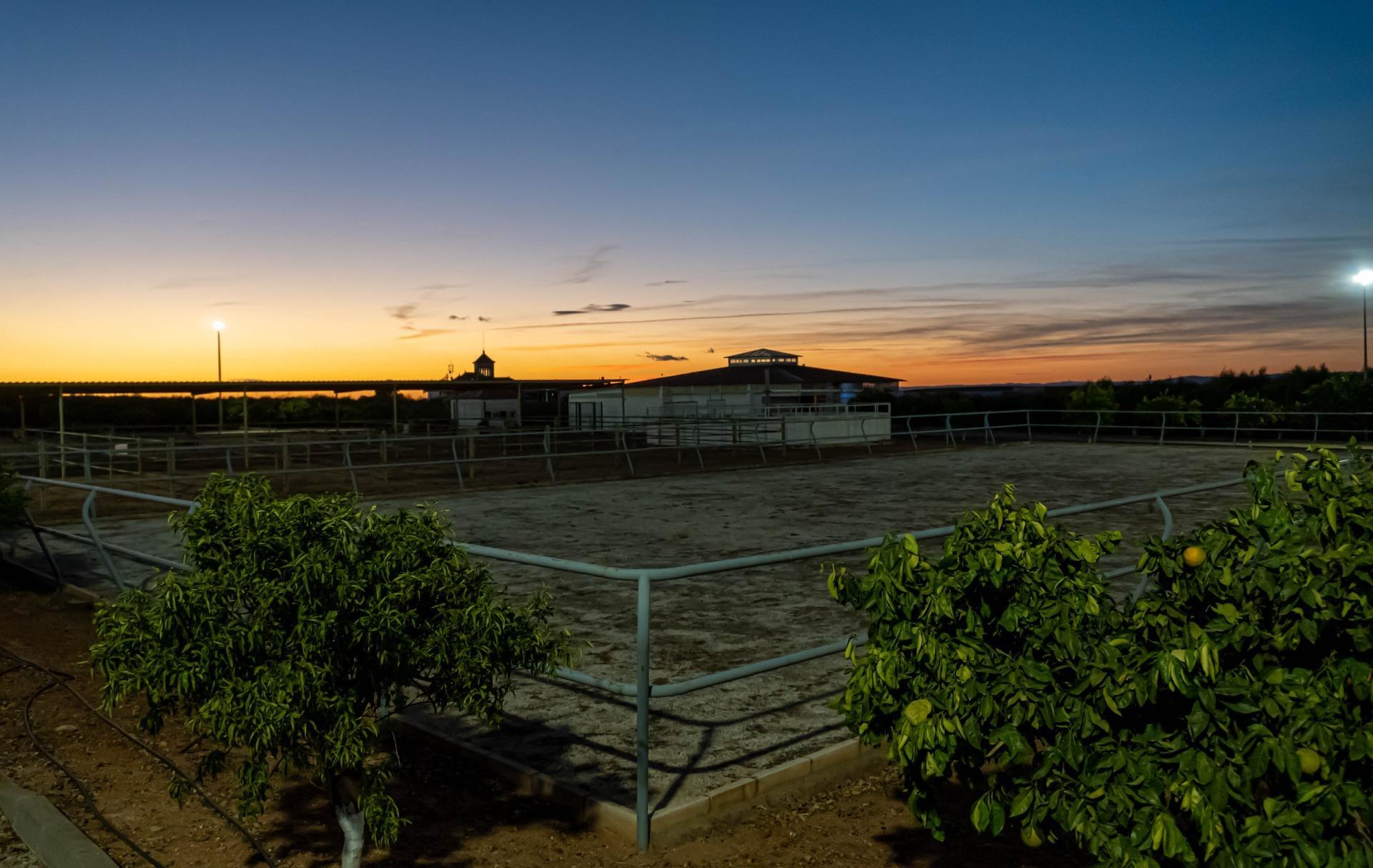 Pisos-Venta-Carmona-1976163-Foto-57