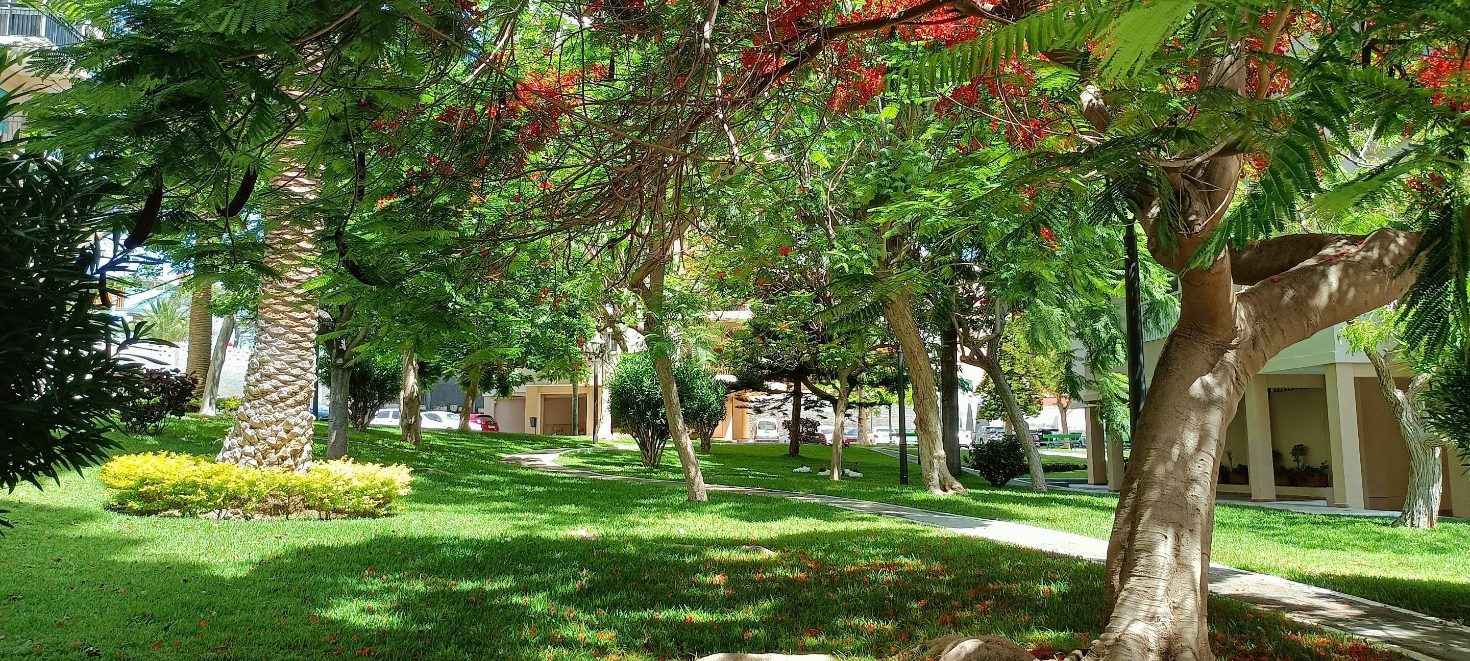 Pisos-Venta-Santa Cruz de Tenerife-1830423-Foto-12