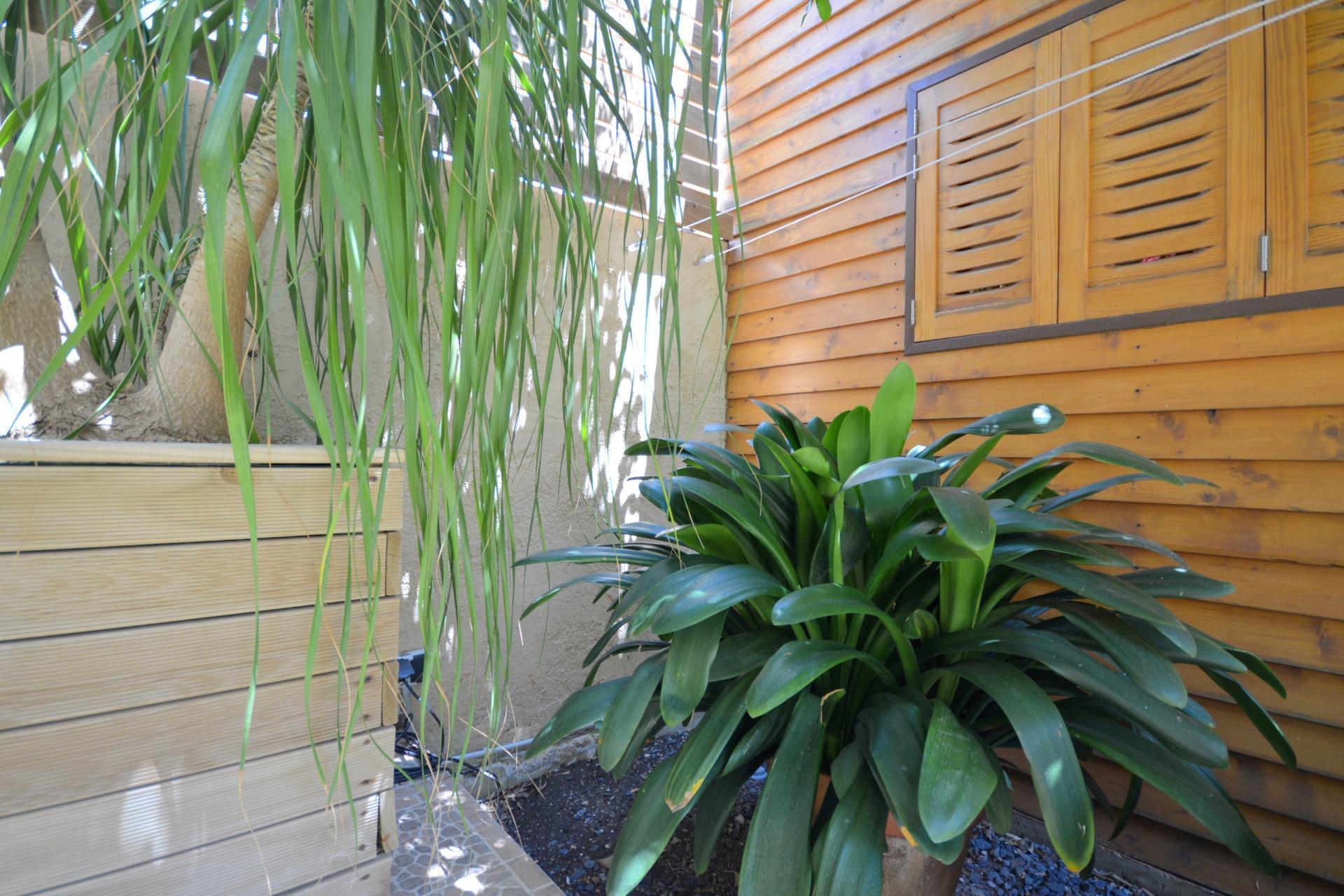 Pisos-Venta-MarratxÃ­-1828775-Foto-39