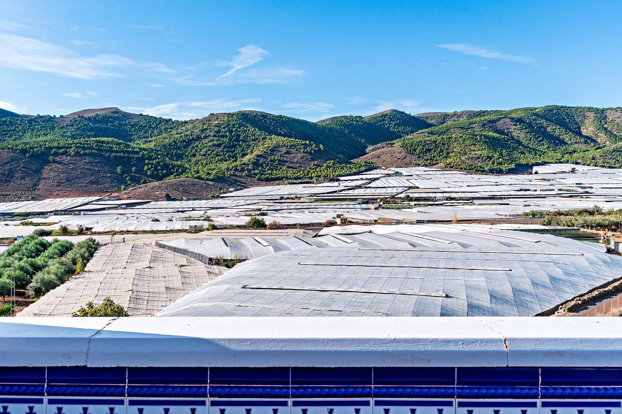 Pisos-Alquiler-DalÃ­as-1976712-Foto-22