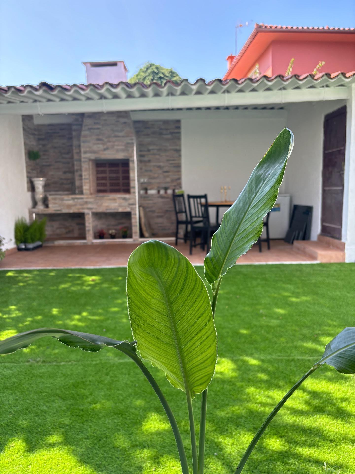 Casas o chalets-Venta-Vigo-1976739-Foto-8