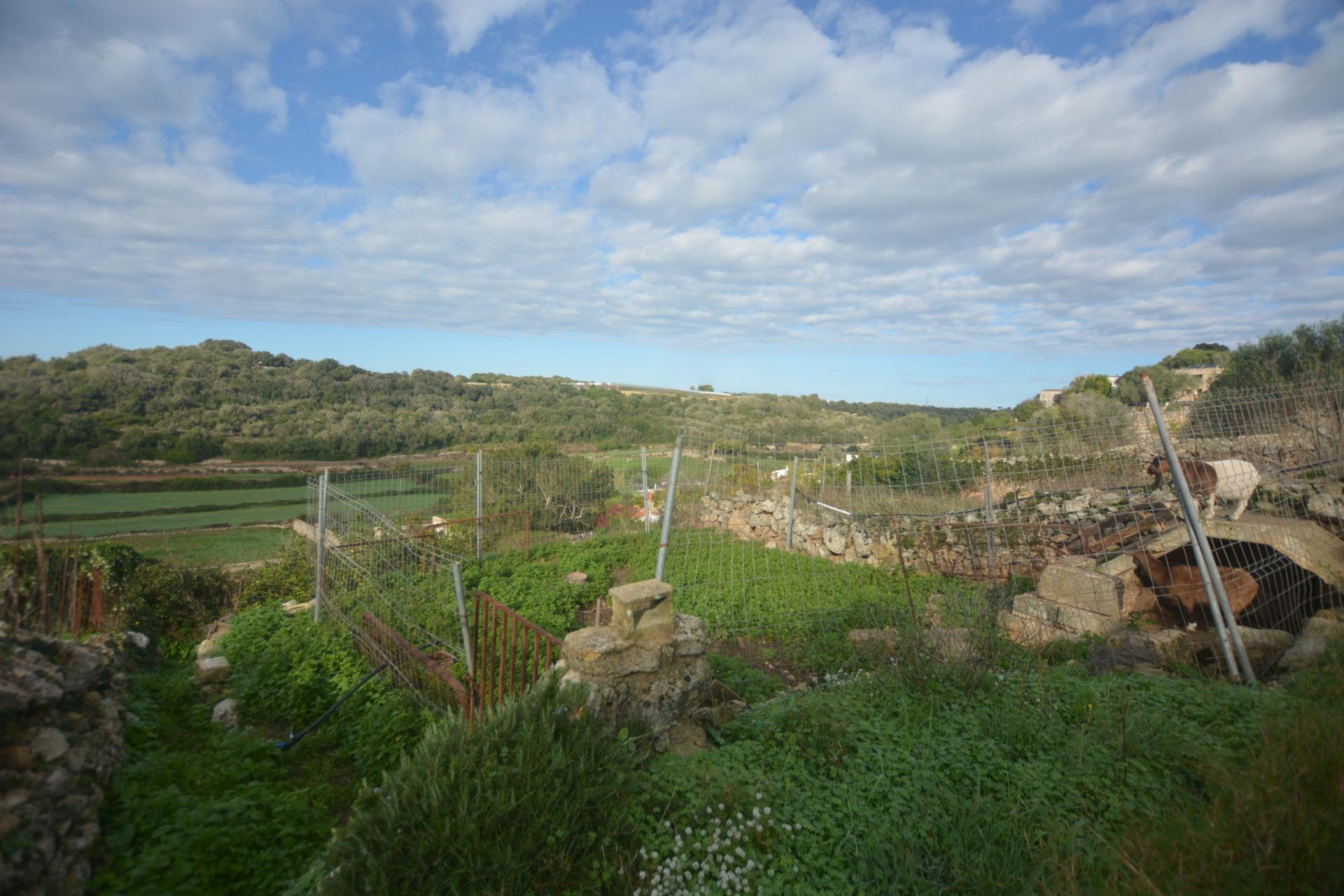 Fincas y solares-Venta-Es Migjorn Gran-2009897