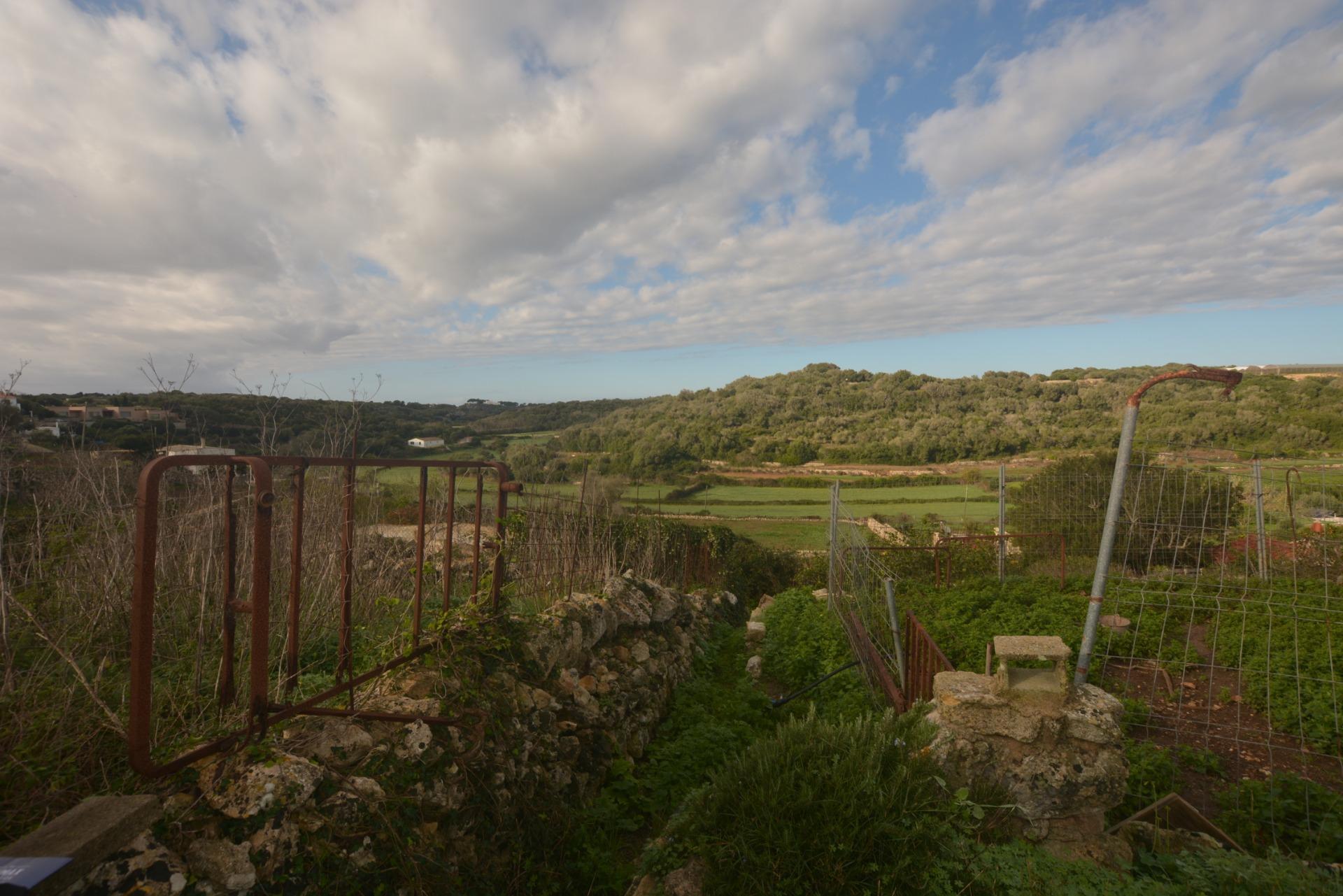 Fincas y solares-Venta-Es Migjorn Gran-2009897-Foto-2