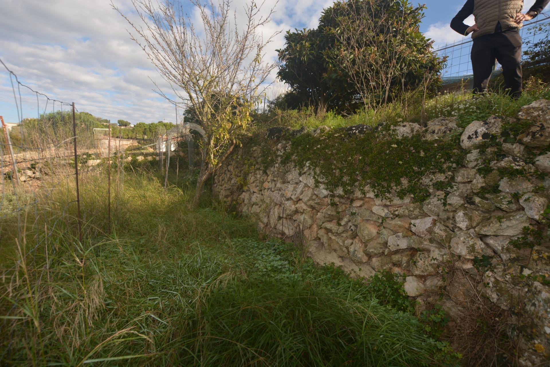 Fincas y solares-Venta-Es Migjorn Gran-2009897-Foto-4