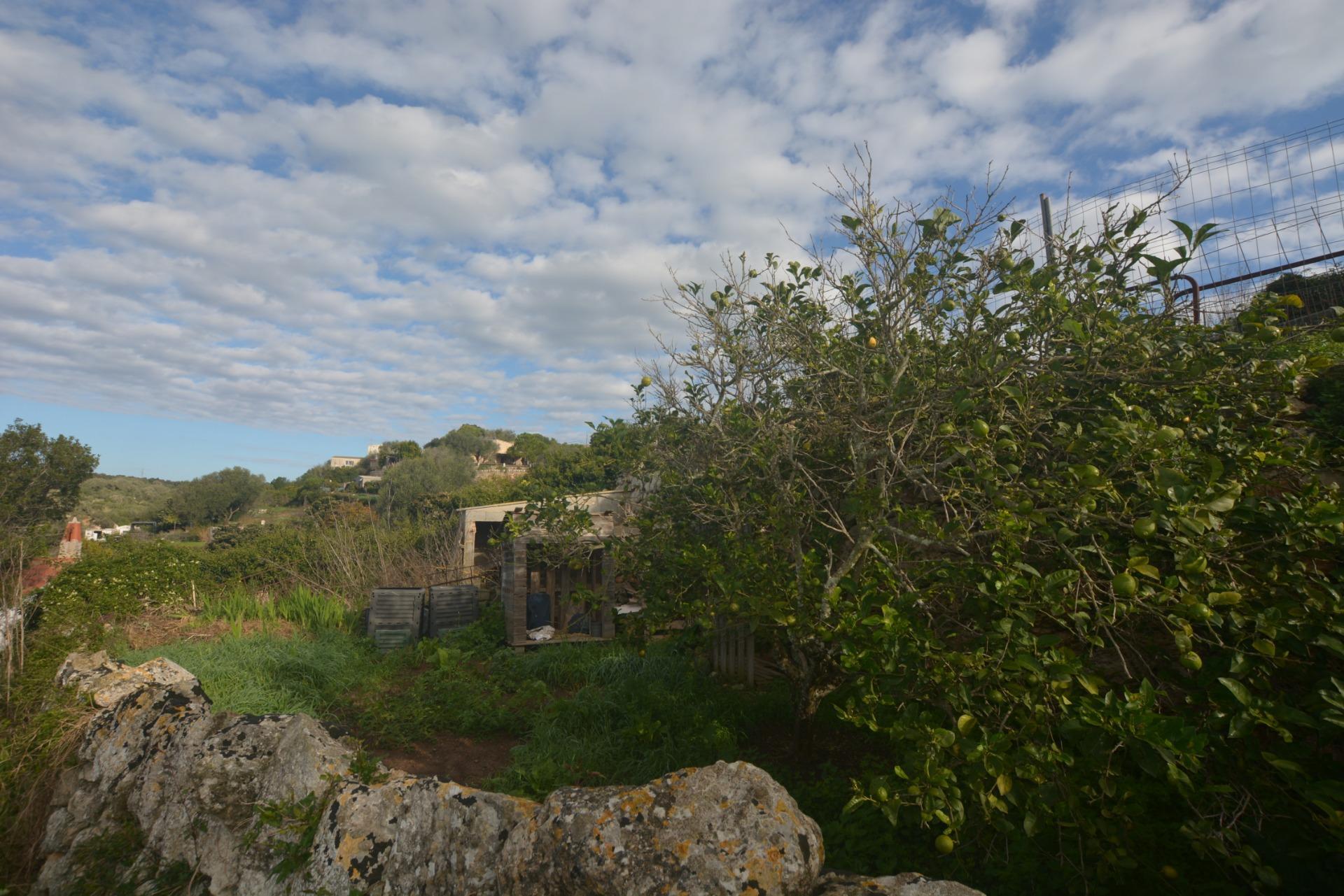 Fincas y solares-Venta-Es Migjorn Gran-2009897-Foto-10