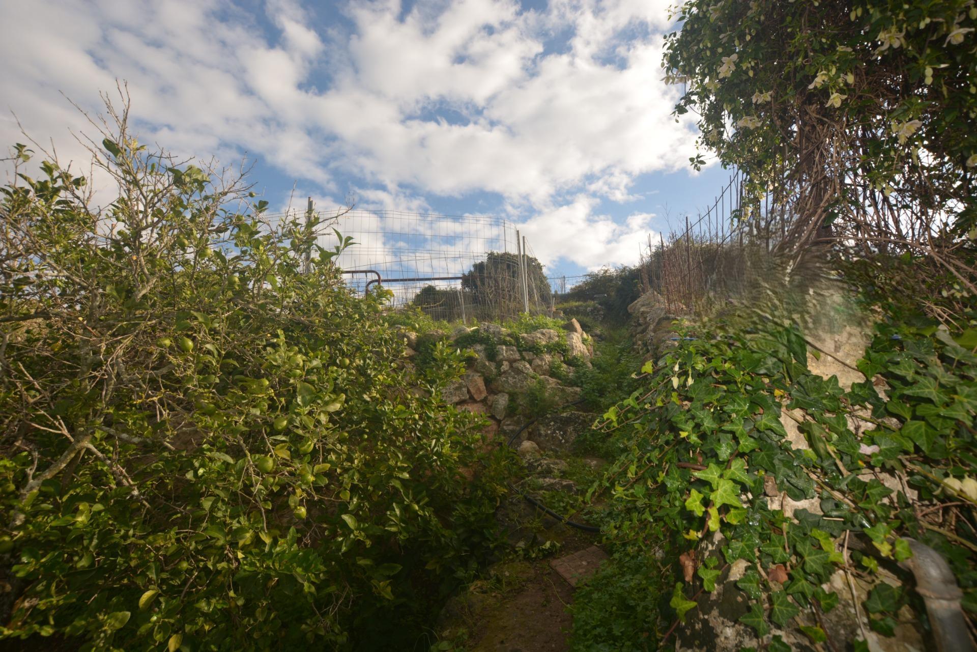 Fincas y solares-Venta-Es Migjorn Gran-2009897-Foto-8