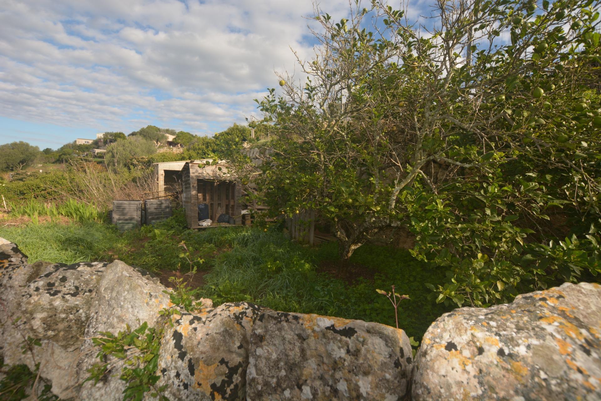 Fincas y solares-Venta-Es Migjorn Gran-2009897-Foto-7