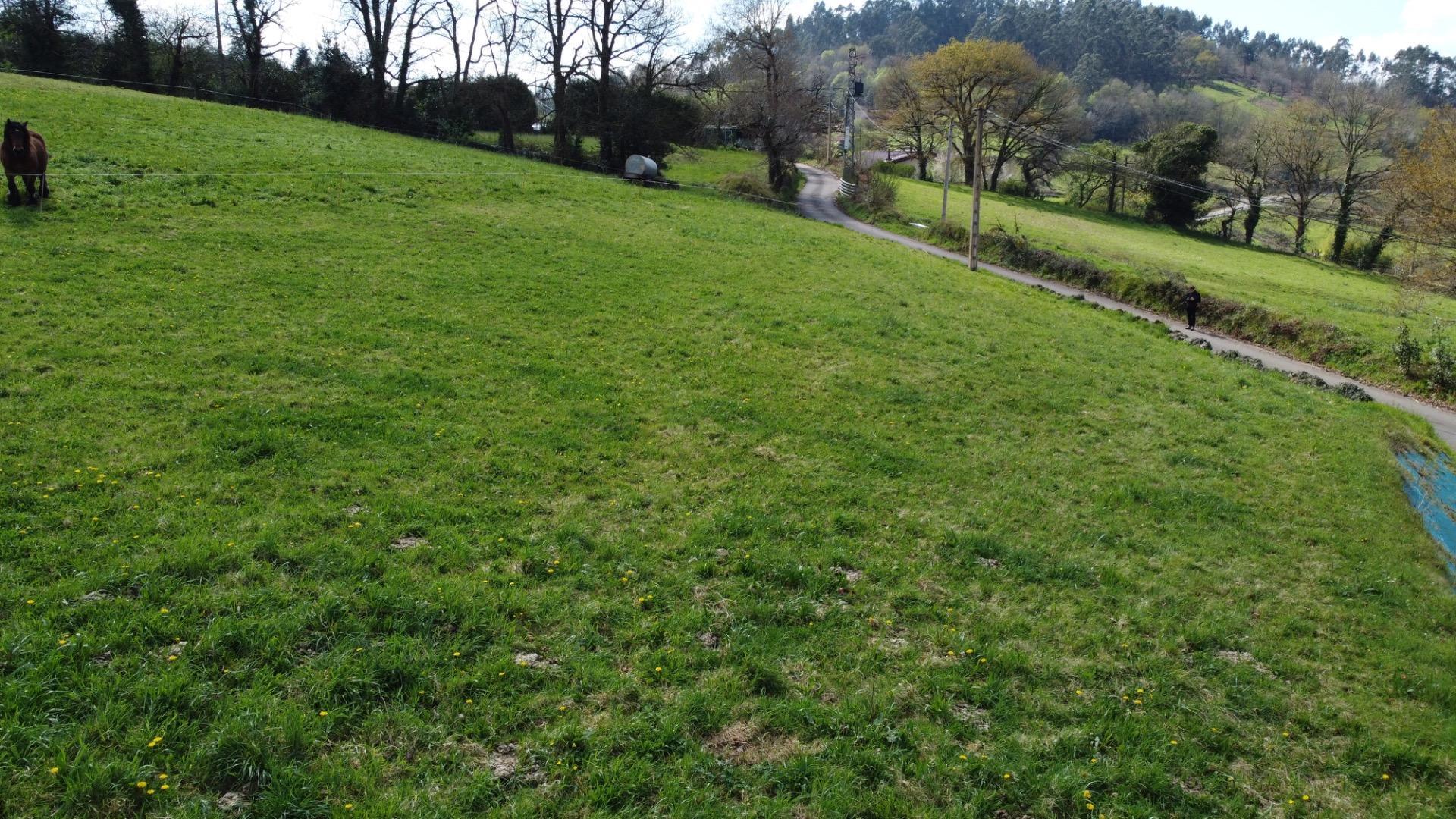 Fincas y solares-Venta-Las Regueras-1068790-Foto-24