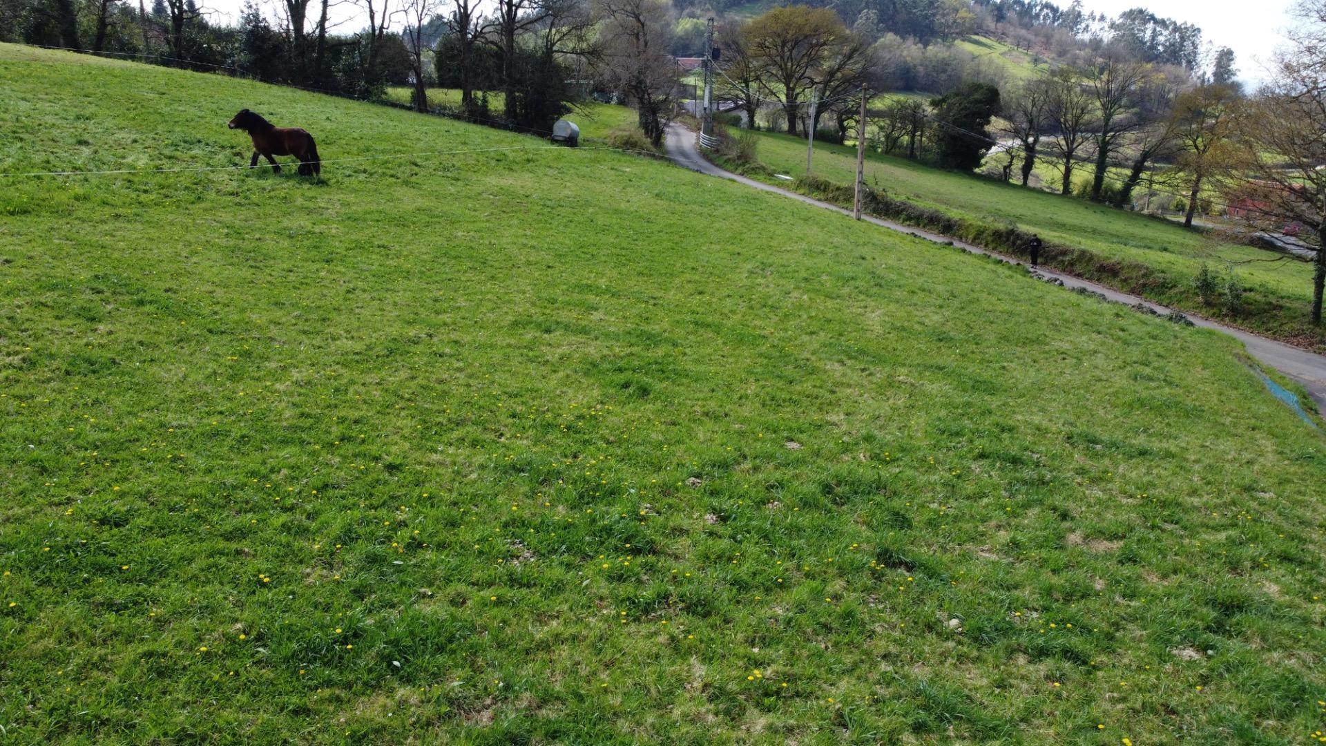 Fincas y solares-Venta-Las Regueras-1068790-Foto-23