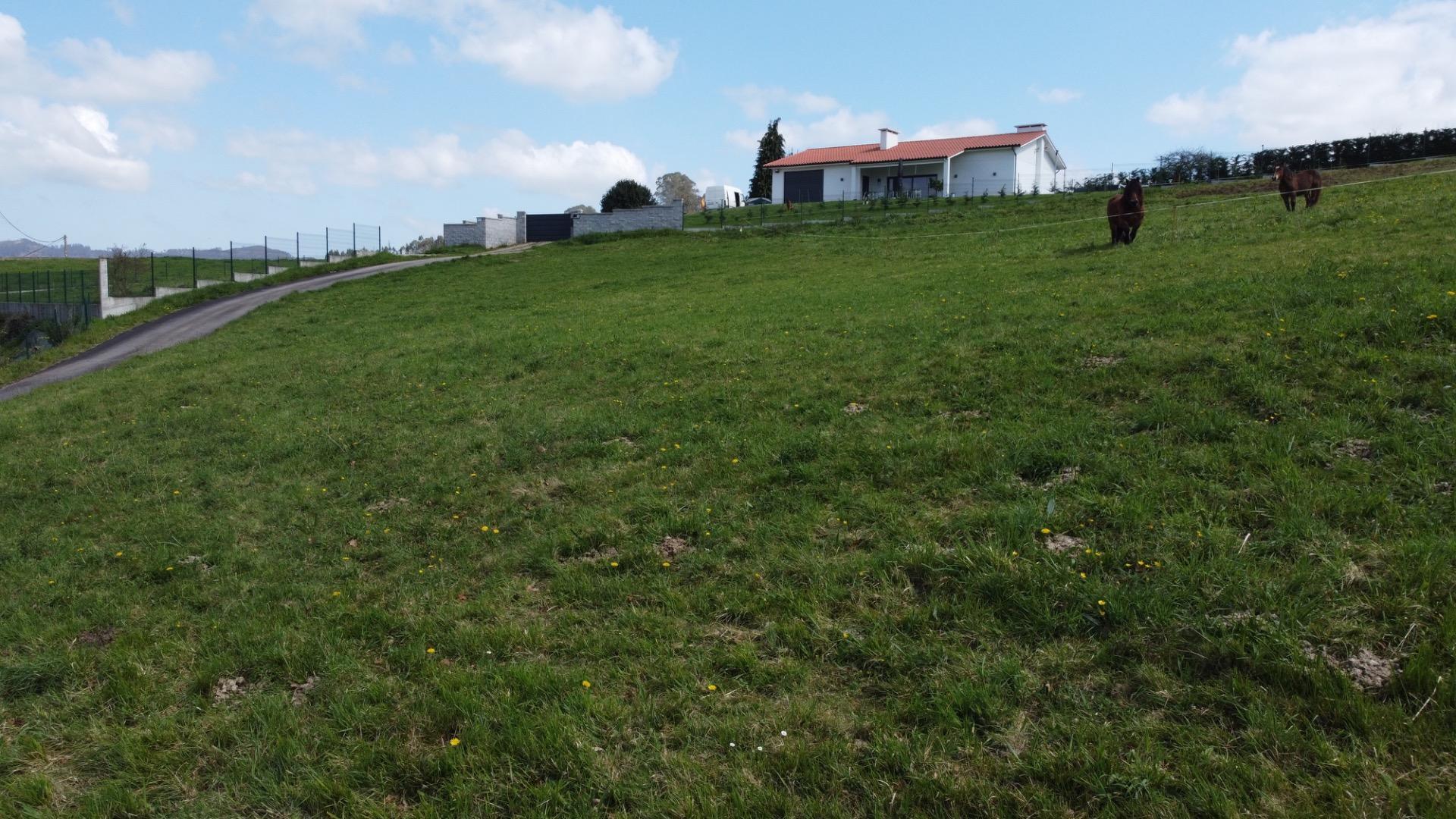 Fincas y solares-Venta-Las Regueras-1068790-Foto-26