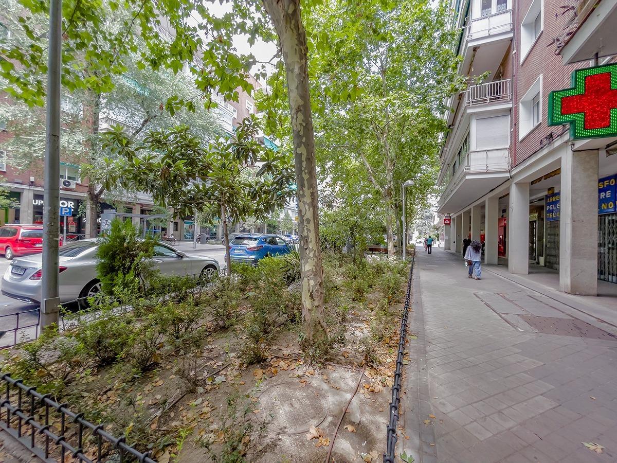 Pisos-Alquiler-Madrid-1976745-Foto-33