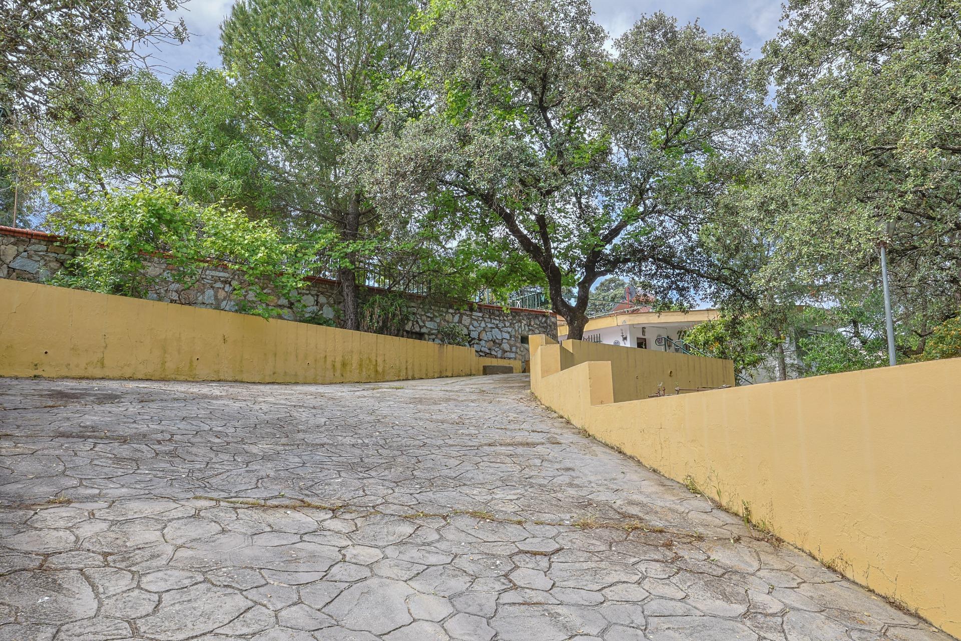 Casas o chalets-Venta-Guillena-1727057-Foto-17