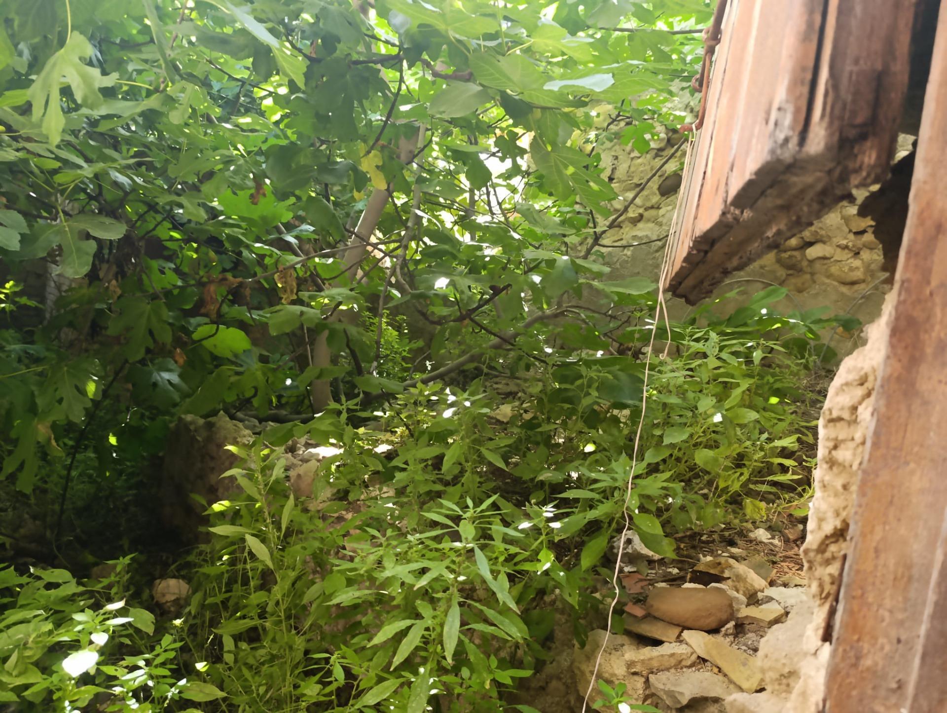 Casas o chalets-Venta-Albudeite-1765233-Foto-5