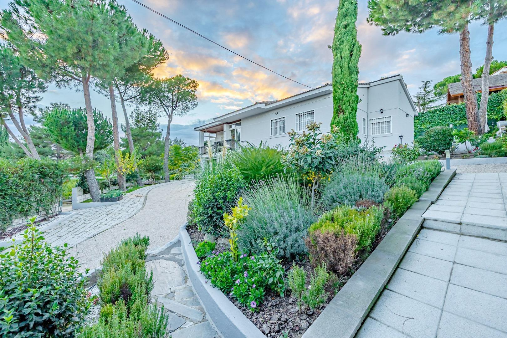 Casas o chalets-Venta-Valdemorillo-1977699-Foto-14