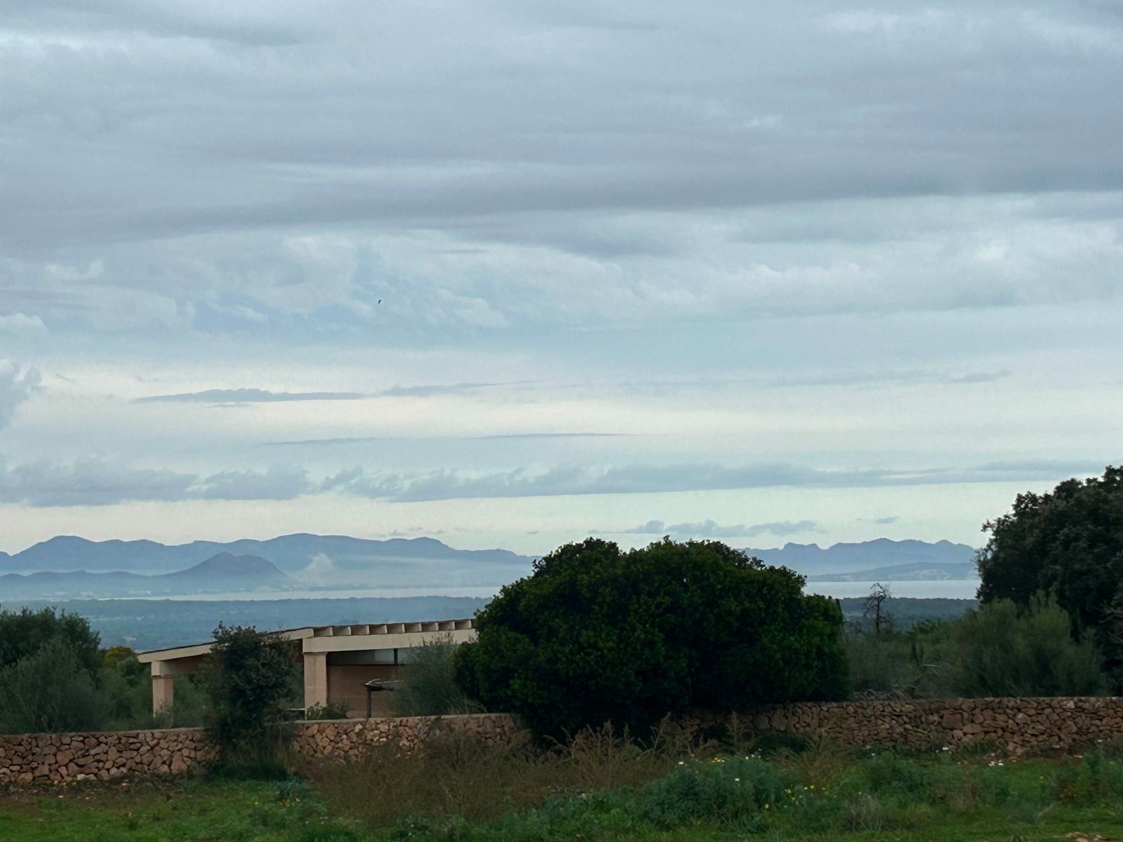 Casas o chalets-Venta-Petra-1977666-Foto-3