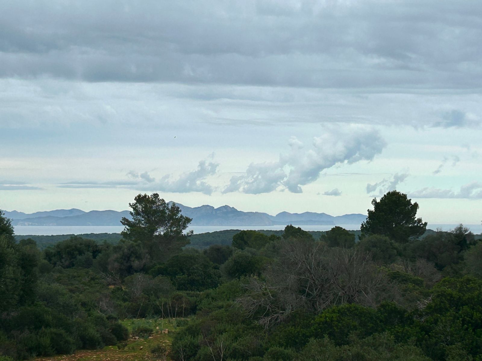 Casas o chalets-Venta-Petra-1977666-Foto-2