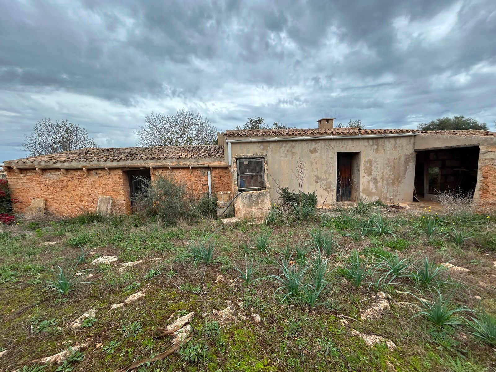 Casas o chalets-Venta-Petra-1977666-Foto-9