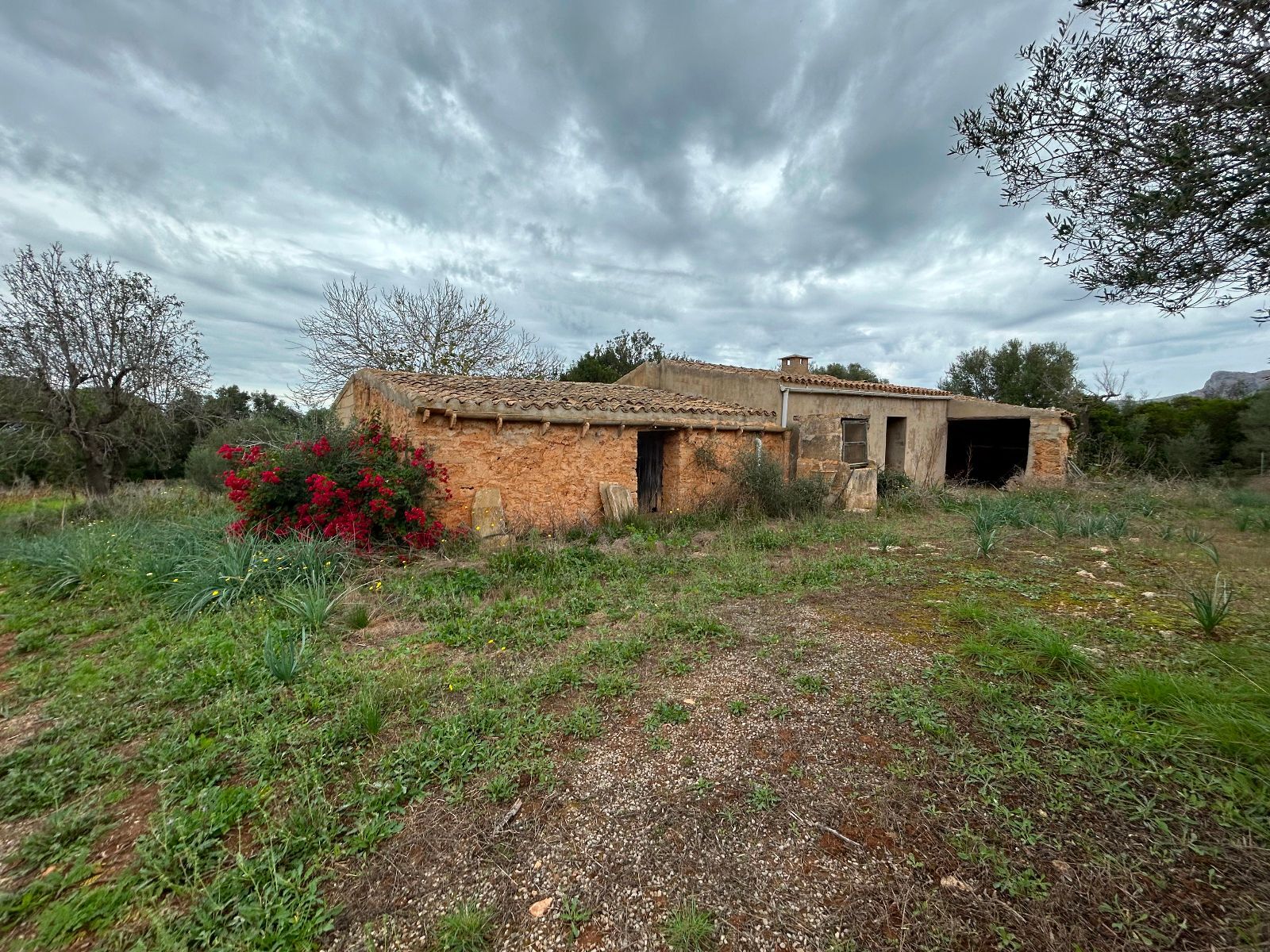 Casas o chalets-Venta-Petra-1977666-Foto-8