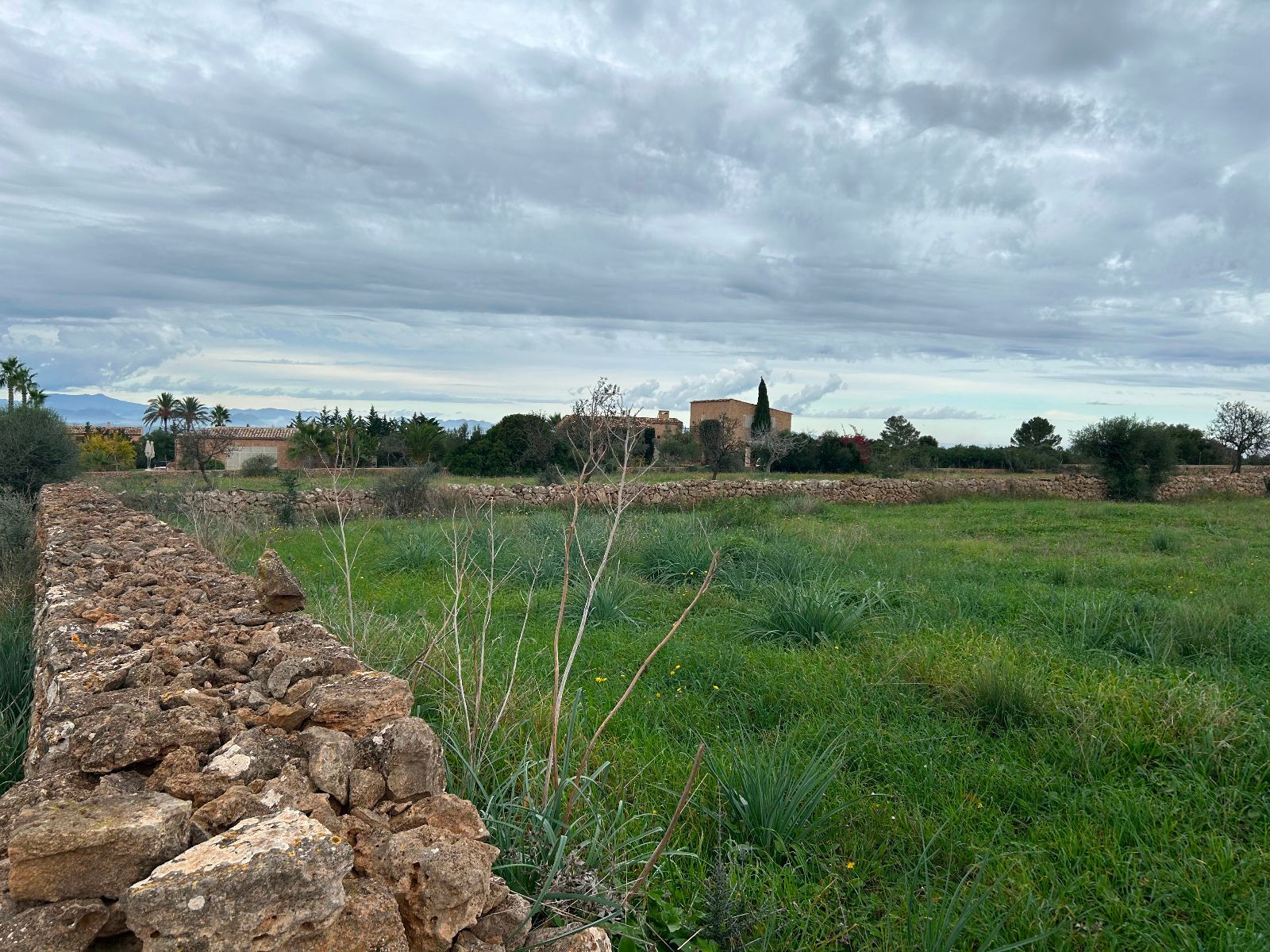 Casas o chalets-Venta-Petra-1977666-Foto-13