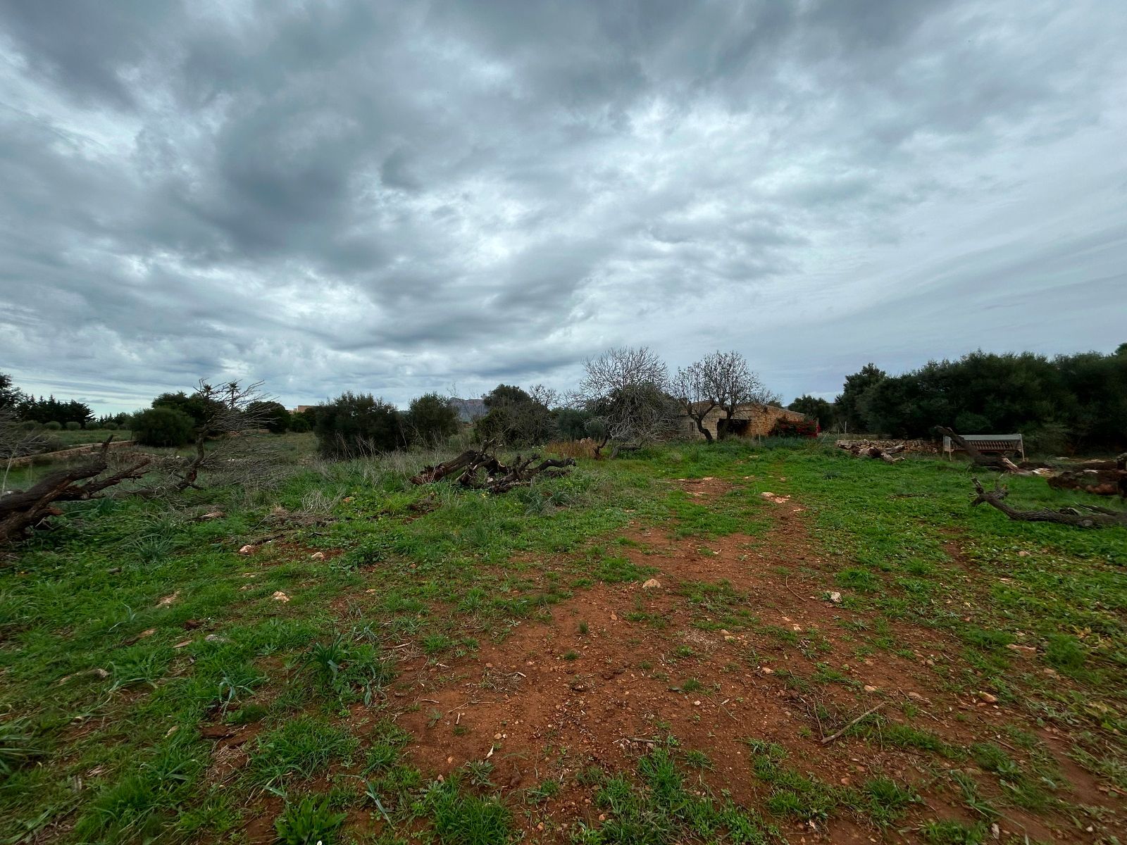 Casas o chalets-Venta-Petra-1977666-Foto-15