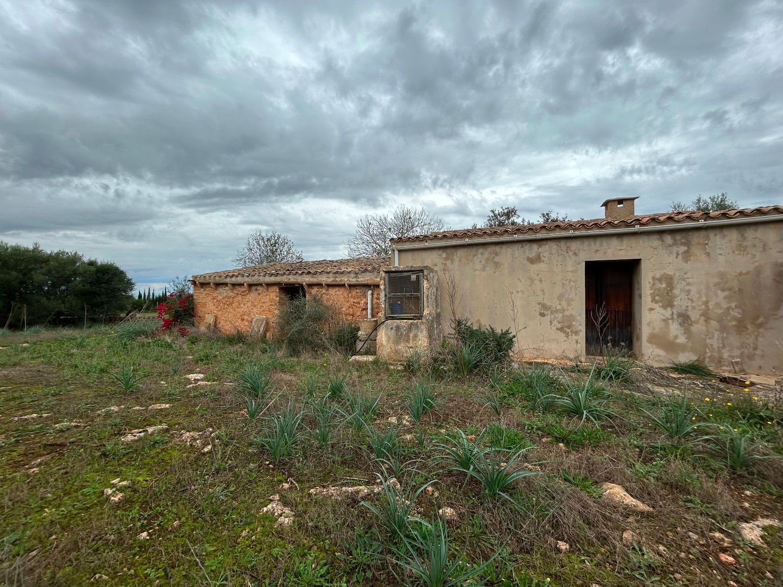 Casas o chalets-Venta-Petra-1977666-Foto-11