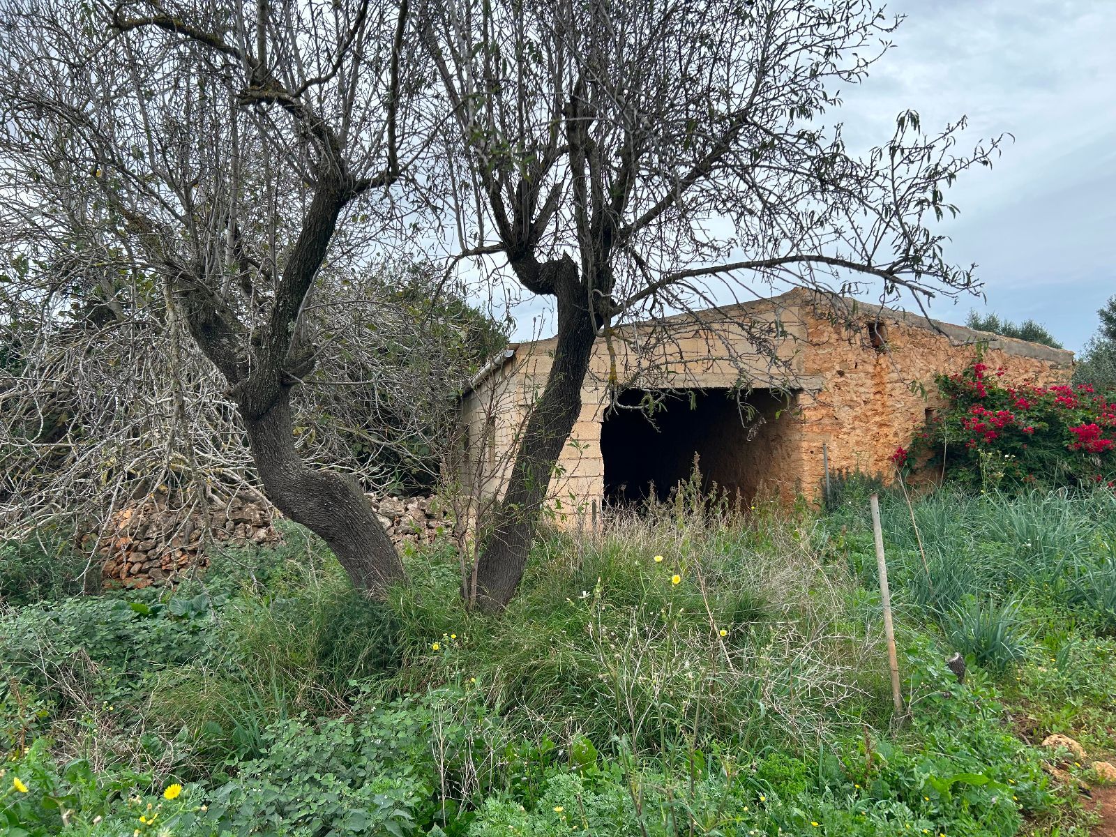 Casas o chalets-Venta-Petra-1977666-Foto-12