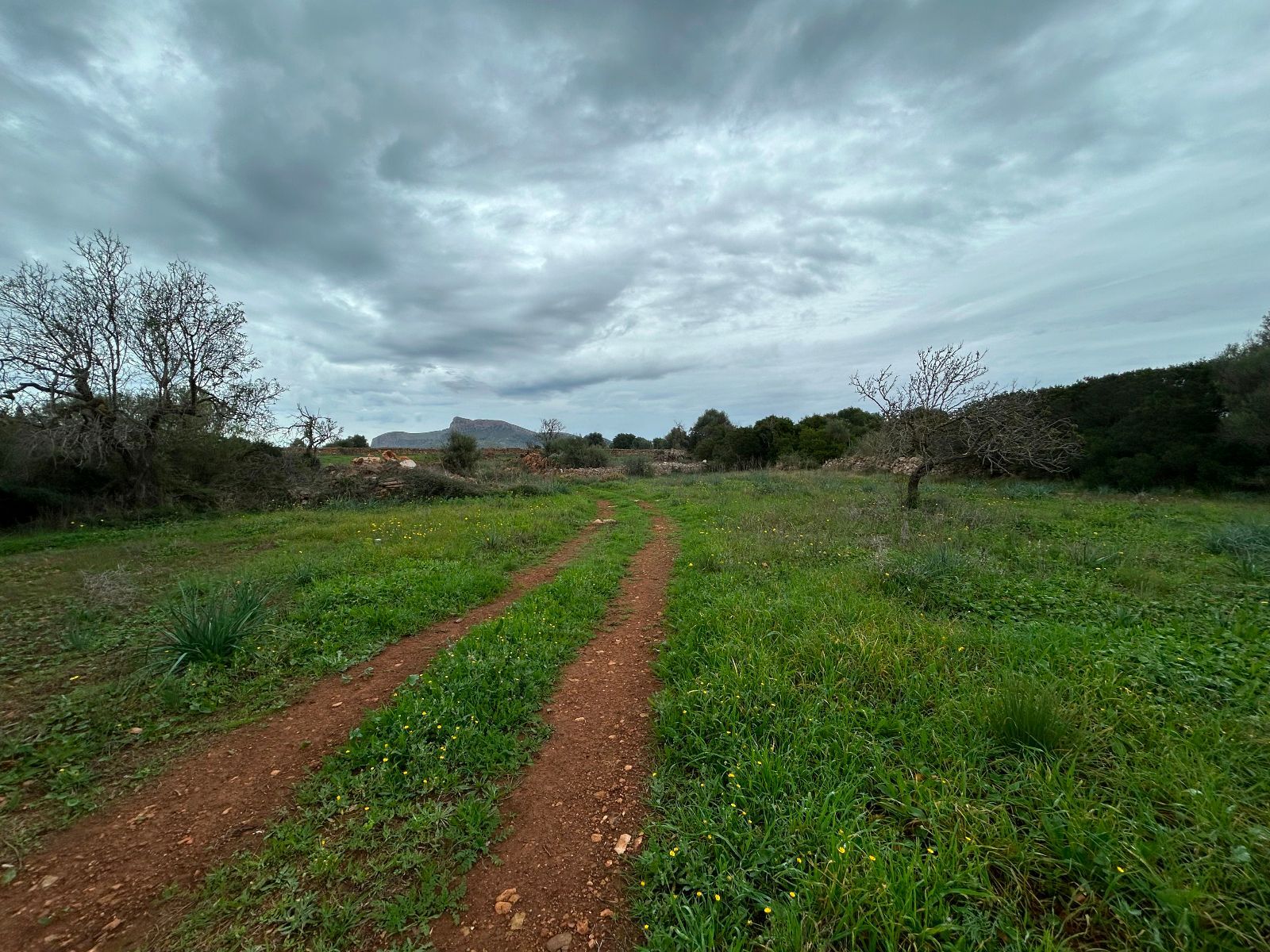 Casas o chalets-Venta-Petra-1977666-Foto-20